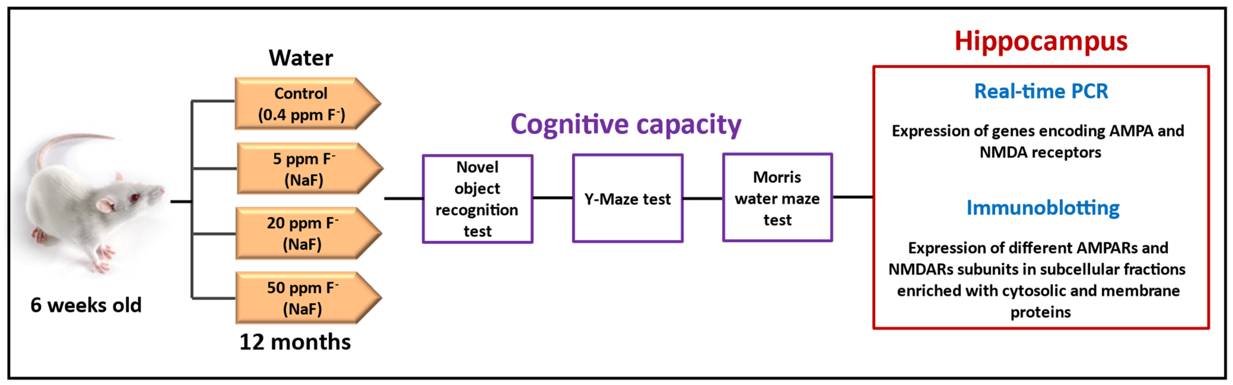 Ijms 25 11796 sch001