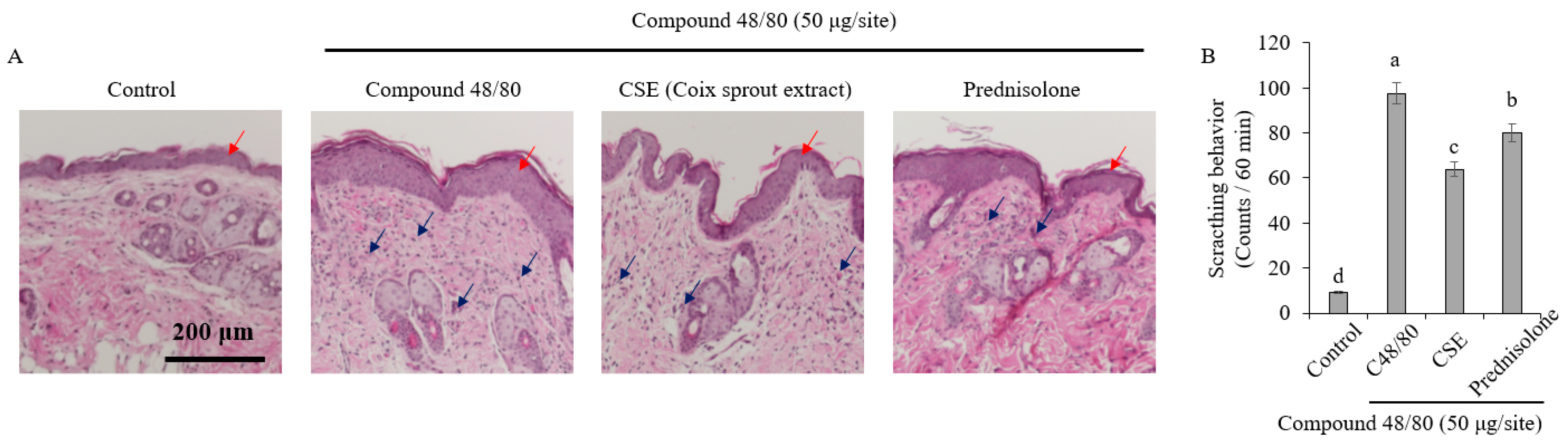 Ijms 25 11828 g002 Ijms 25 11828 g002