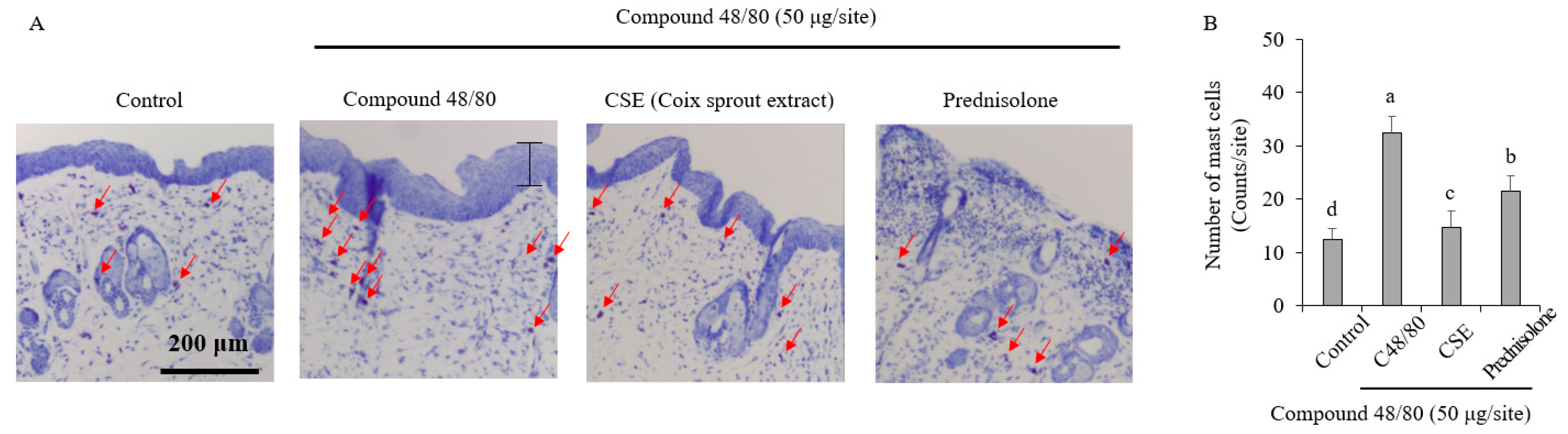 Ijms 25 11828 g003 Ijms 25 11828 g003