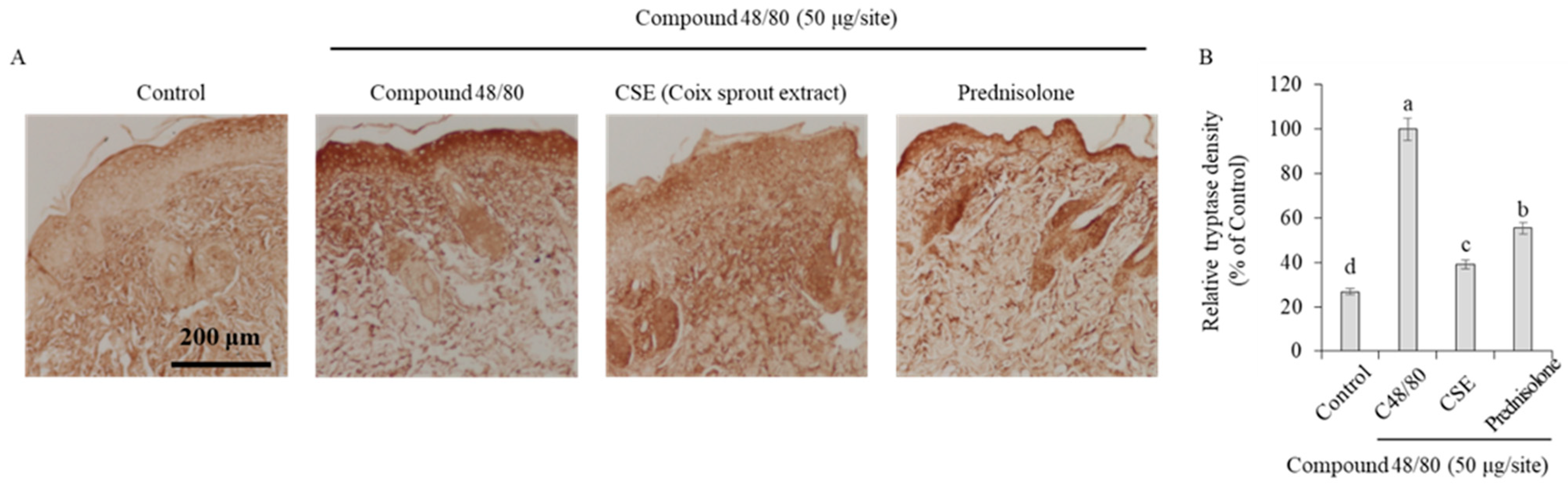 Ijms 25 11828 g004 Ijms 25 11828 g004