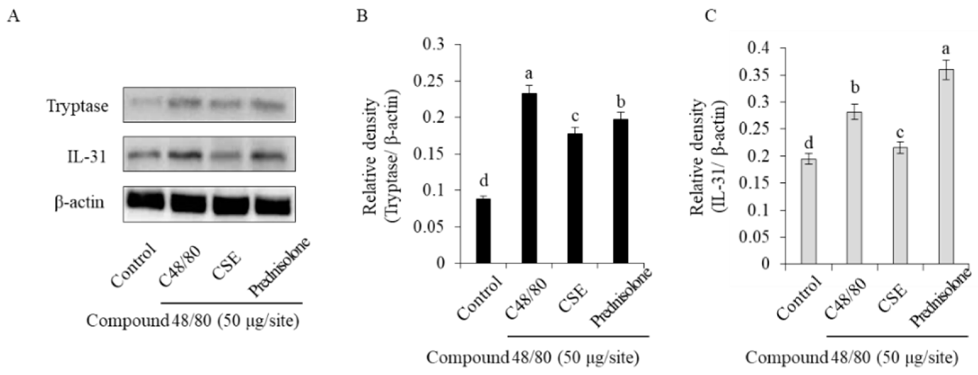 Ijms 25 11828 g006 Ijms 25 11828 g006