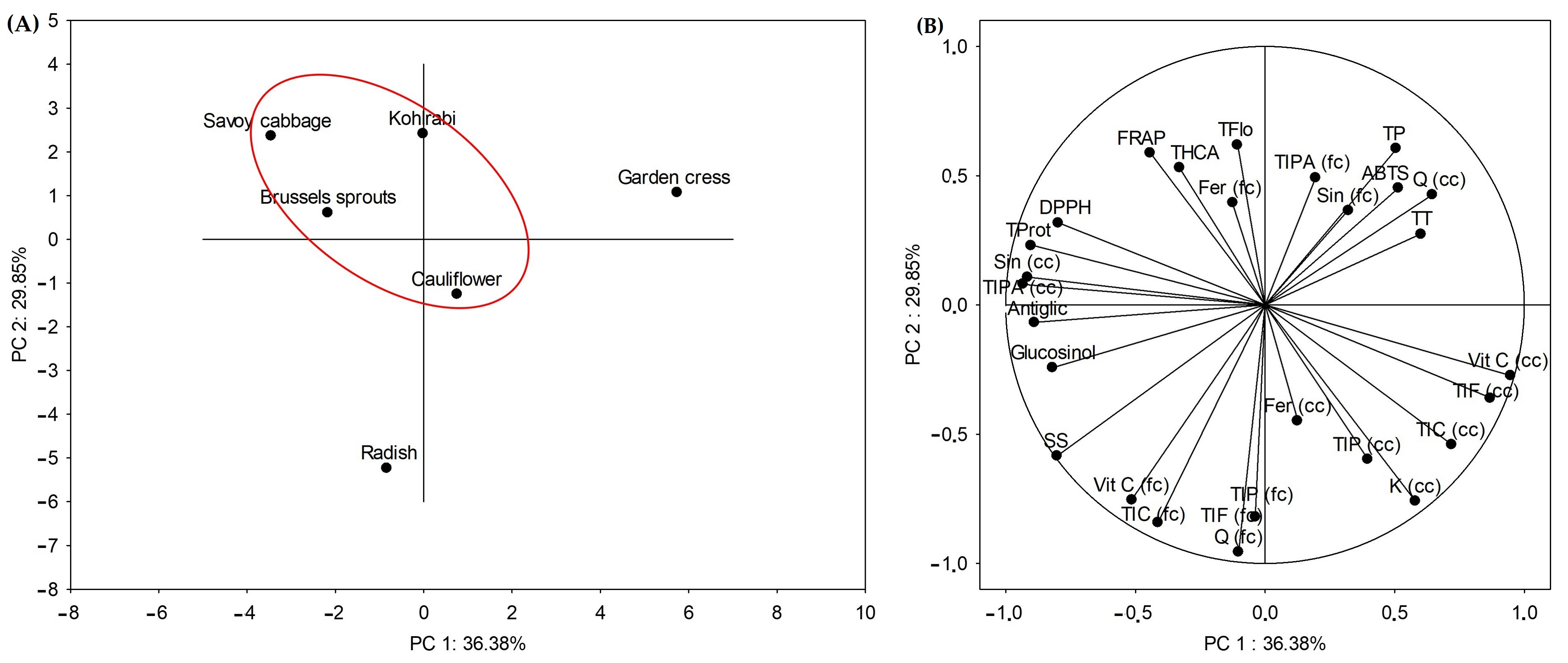 Ijms 25 11831 g003 Ijms 25 11831 g003
