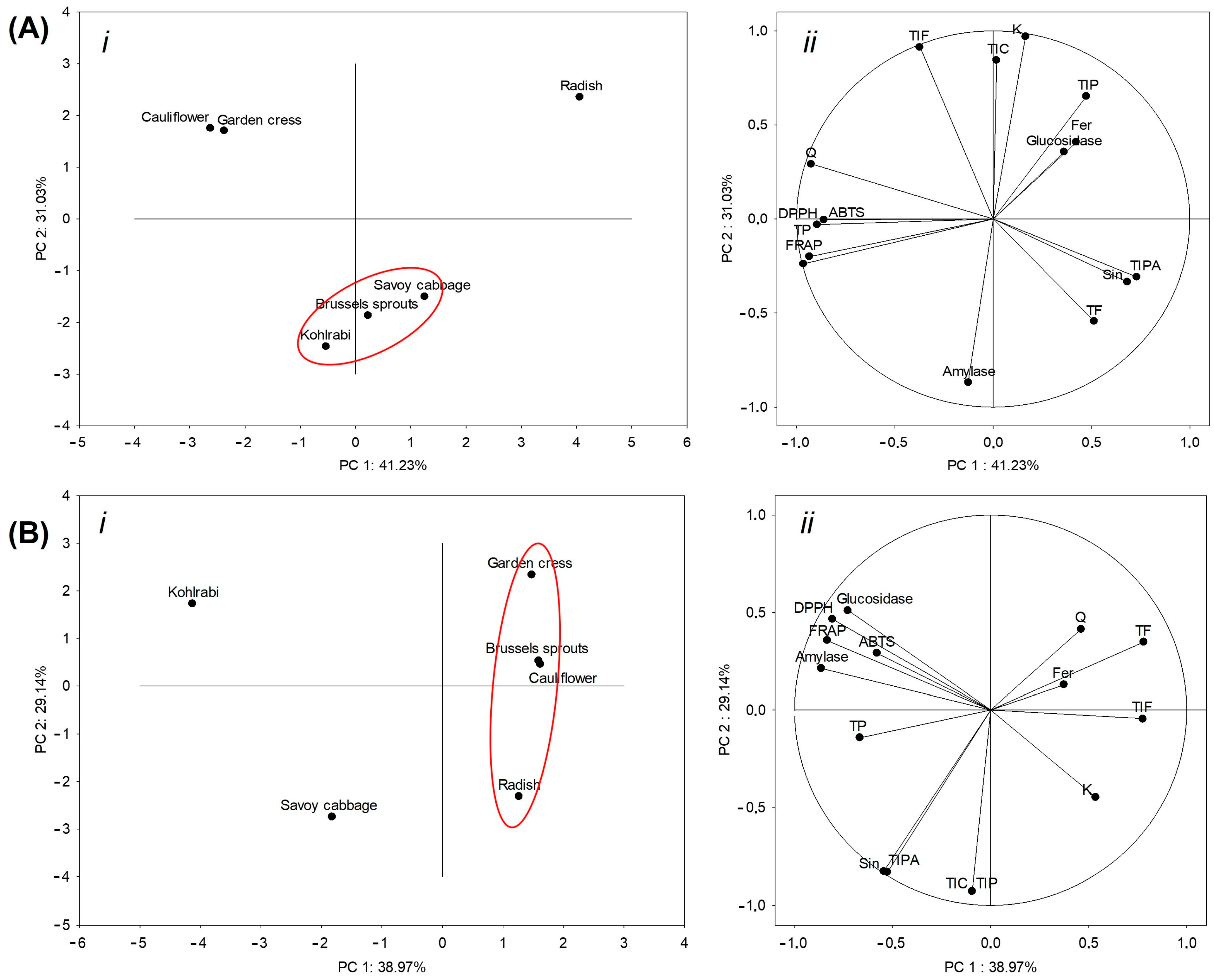 Ijms 25 11831 g004 Ijms 25 11831 g004
