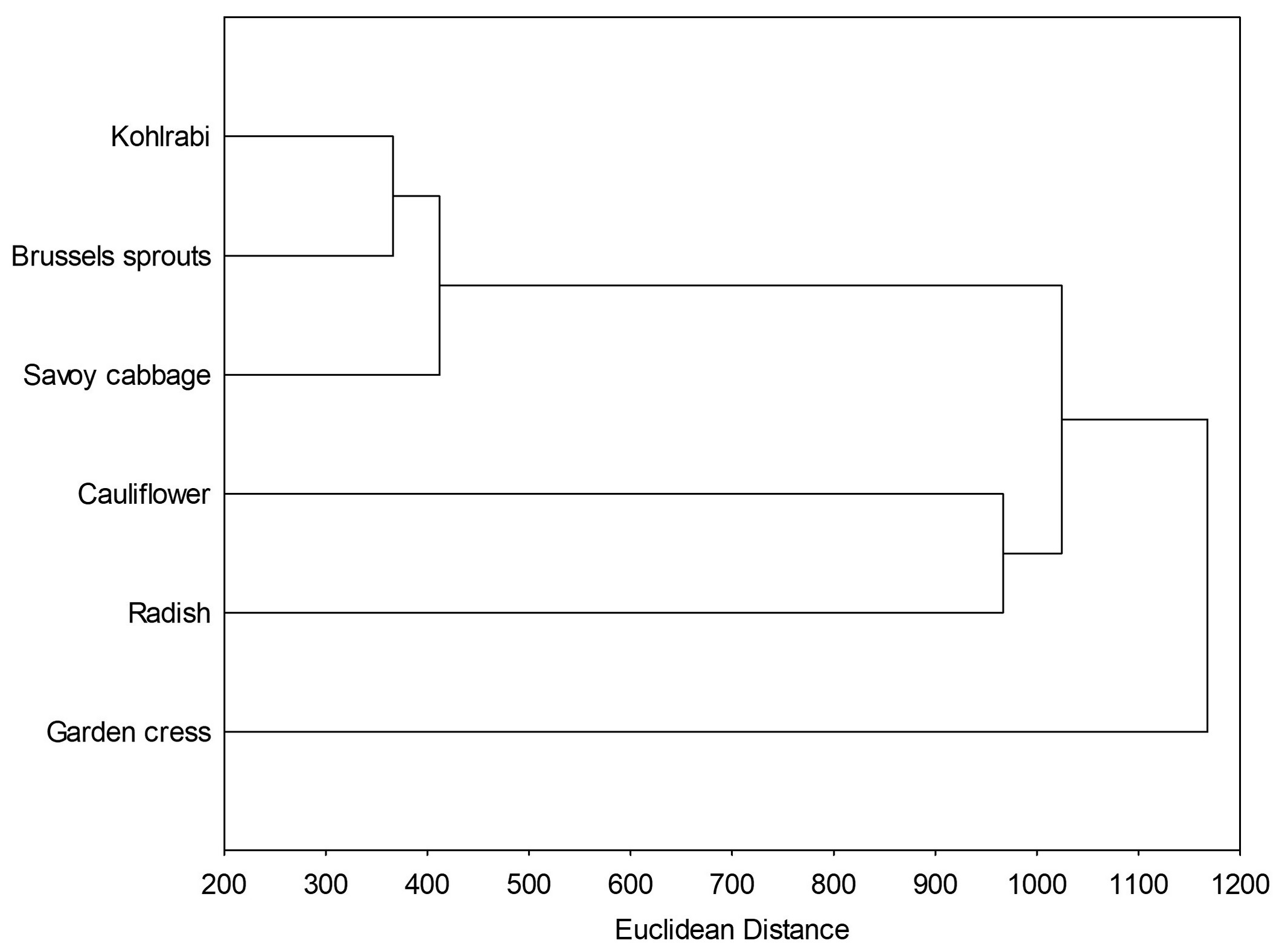 Ijms 25 11831 g005 Ijms 25 11831 g005