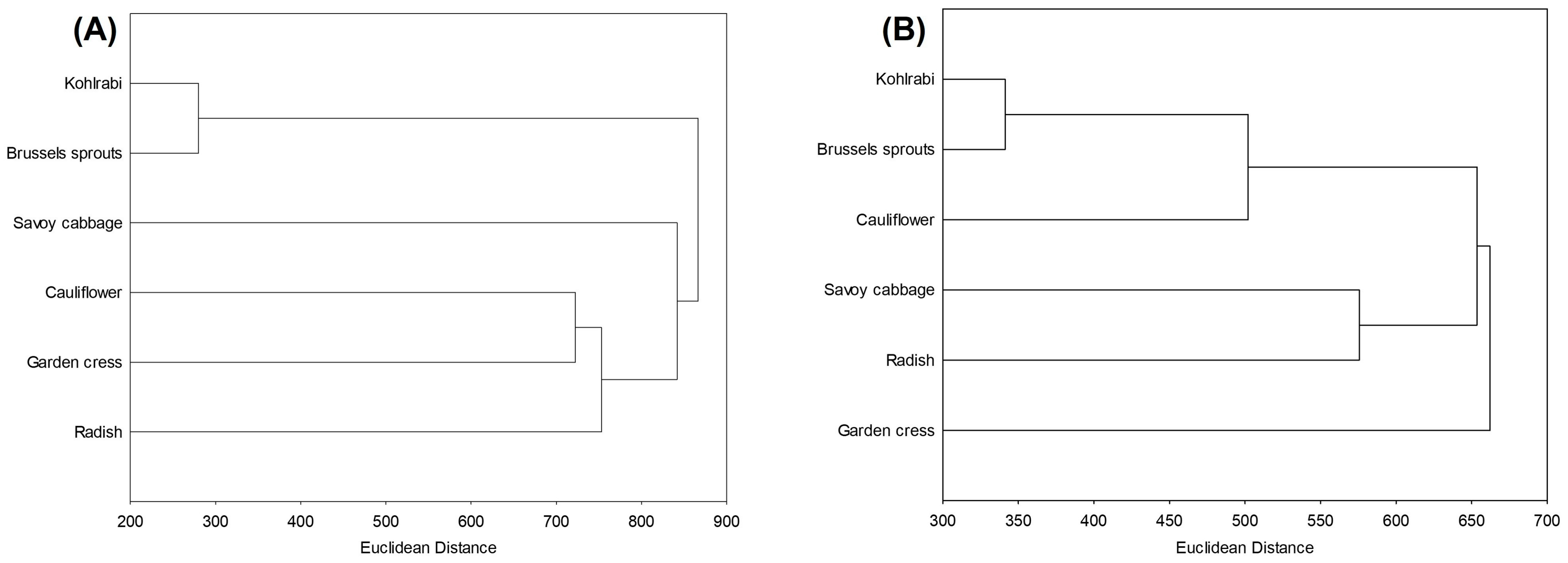 Ijms 25 11831 g006 Ijms 25 11831 g006