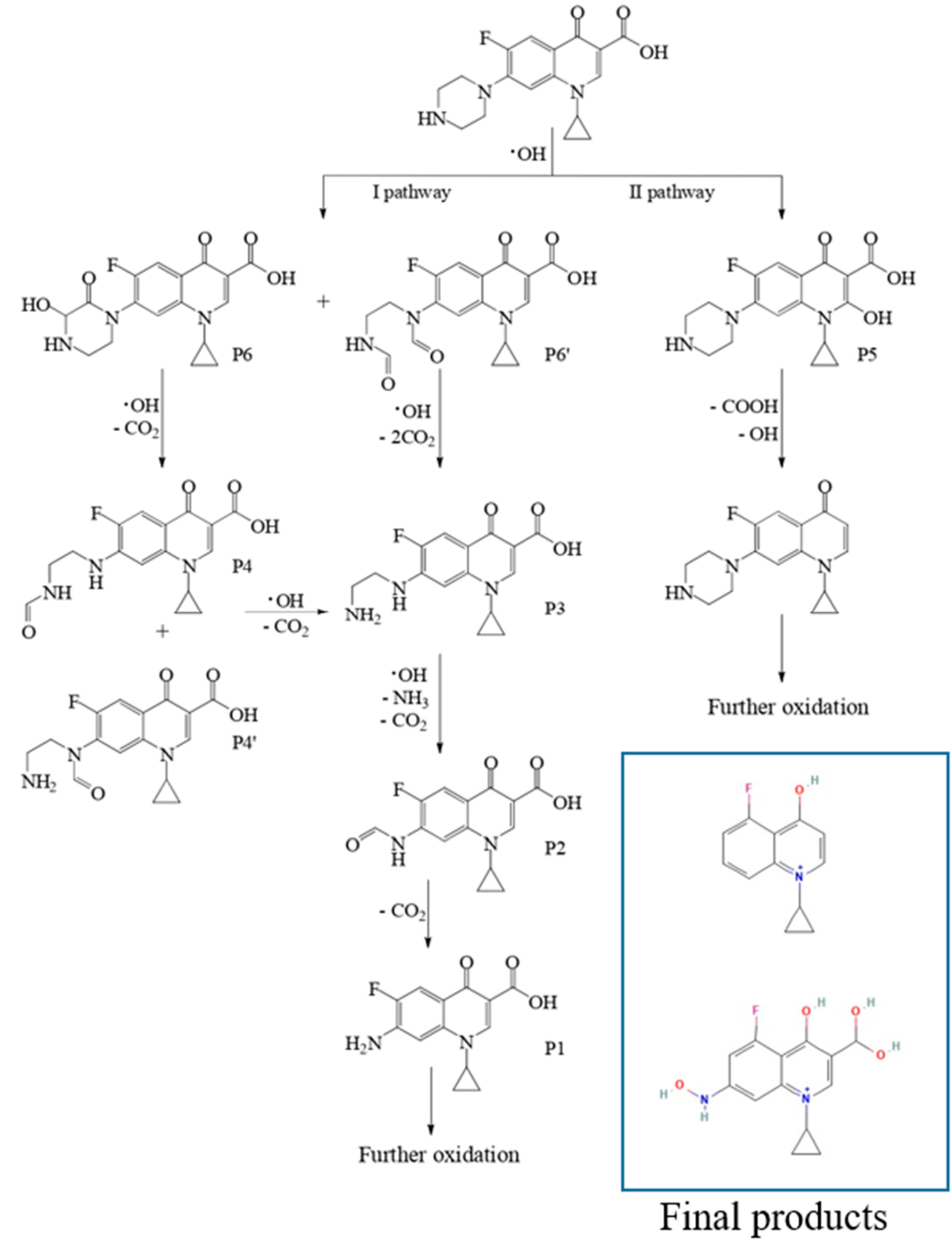 Ijms 25 11844 sch001