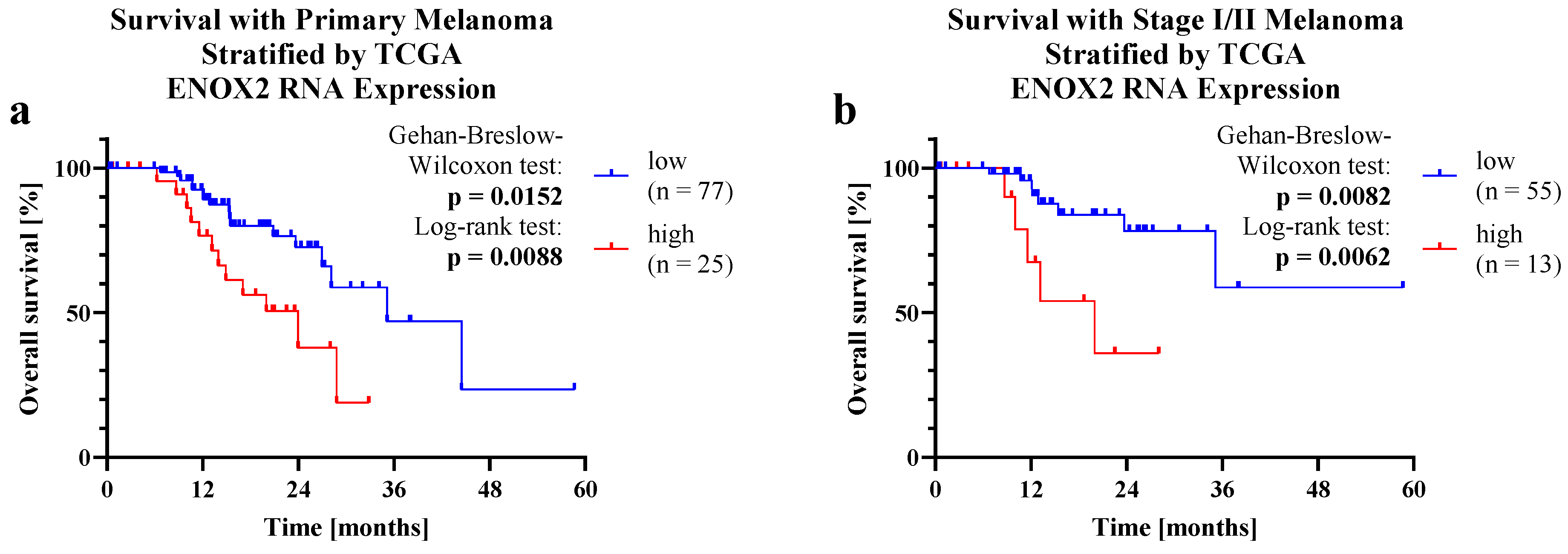 Ijms 25 11853 g004 Ijms 25 11853 g004