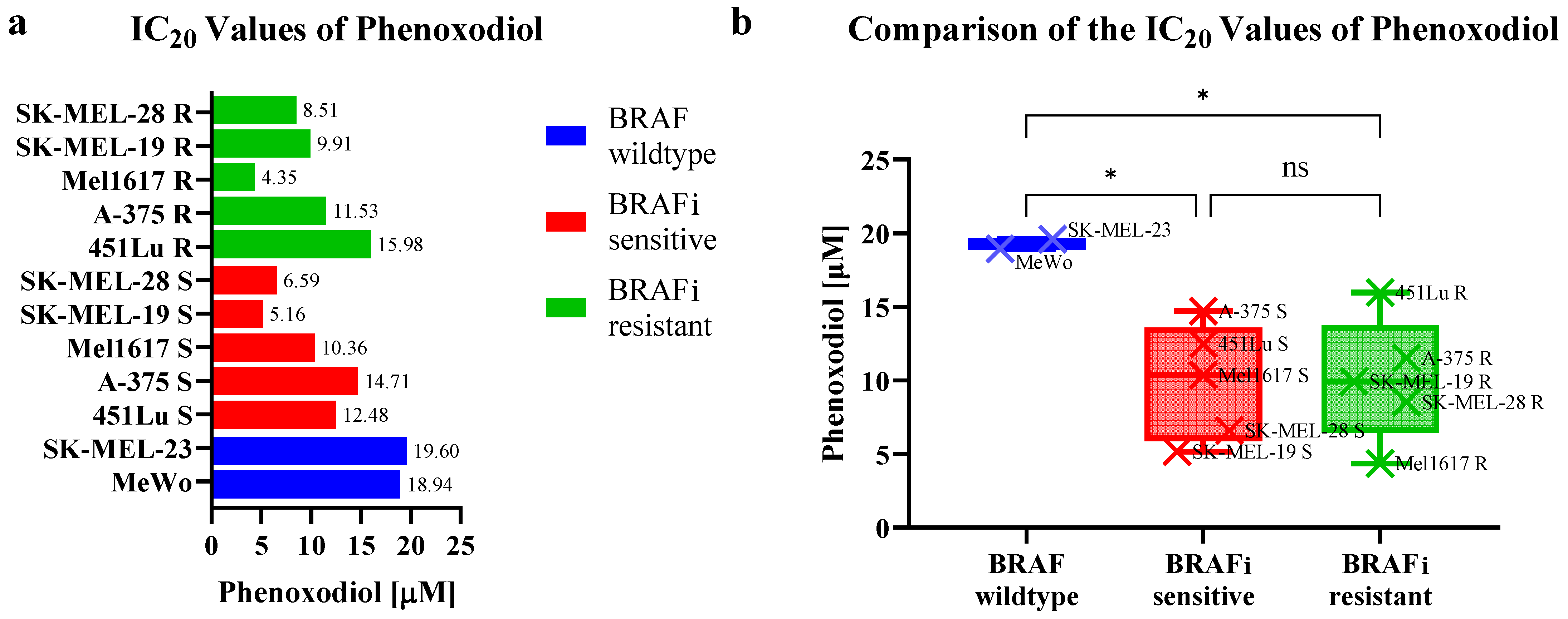 Ijms 25 11853 g005 Ijms 25 11853 g005