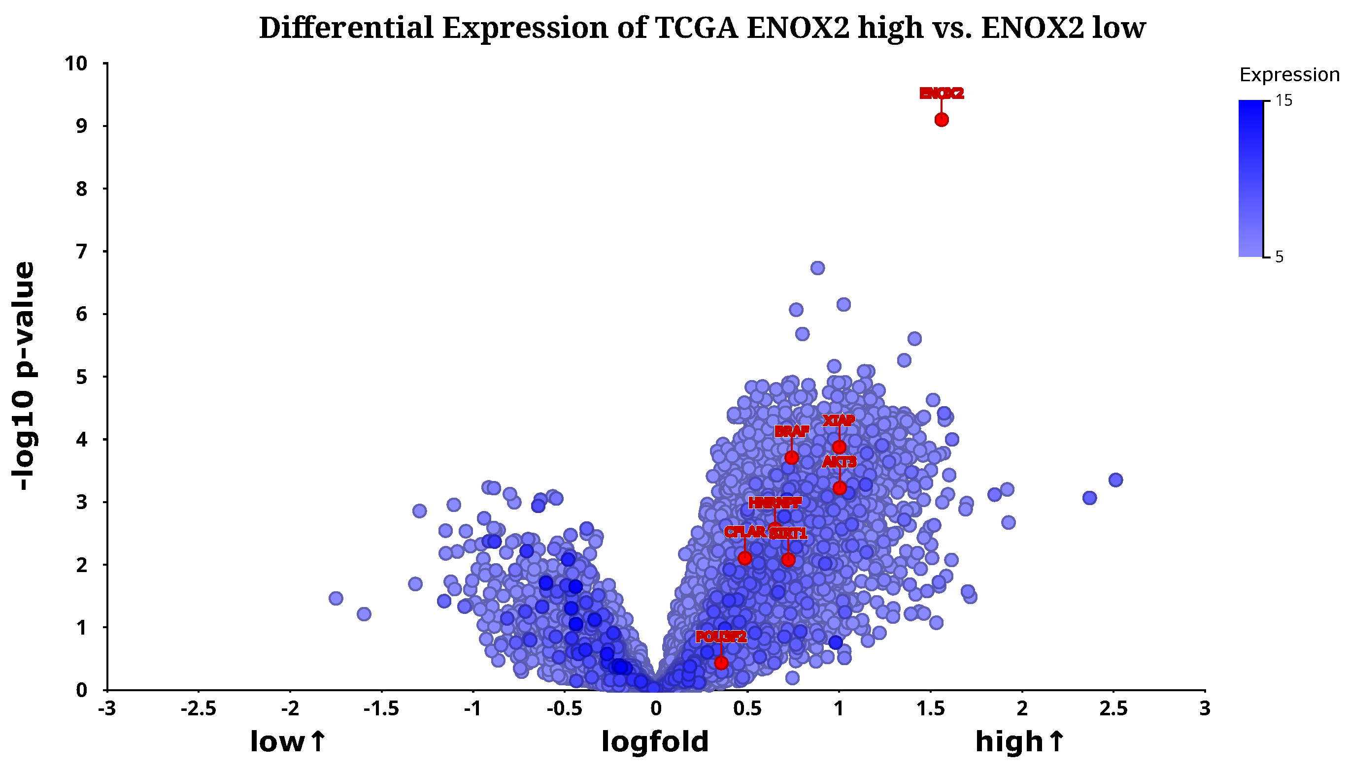 Ijms 25 11853 g0a4 Ijms 25 11853 g0a4