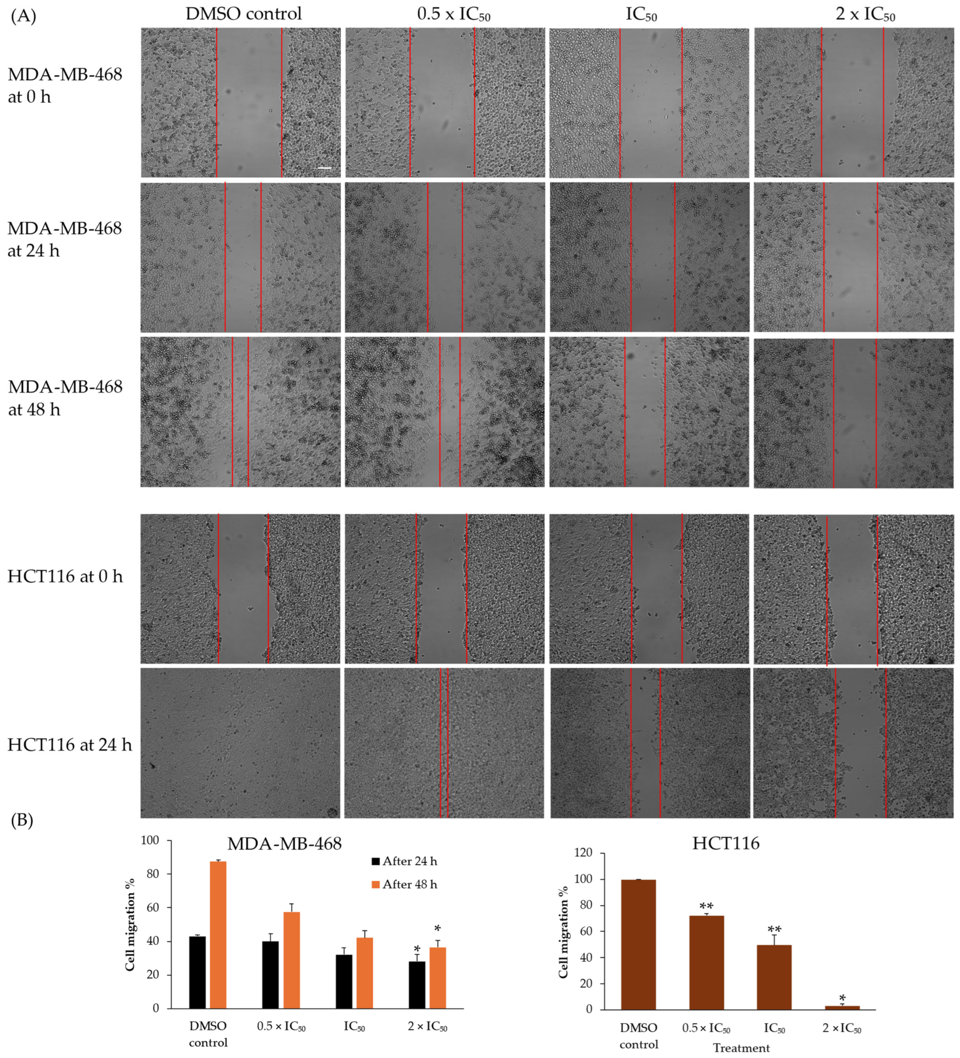 Ijms 25 11870 g008