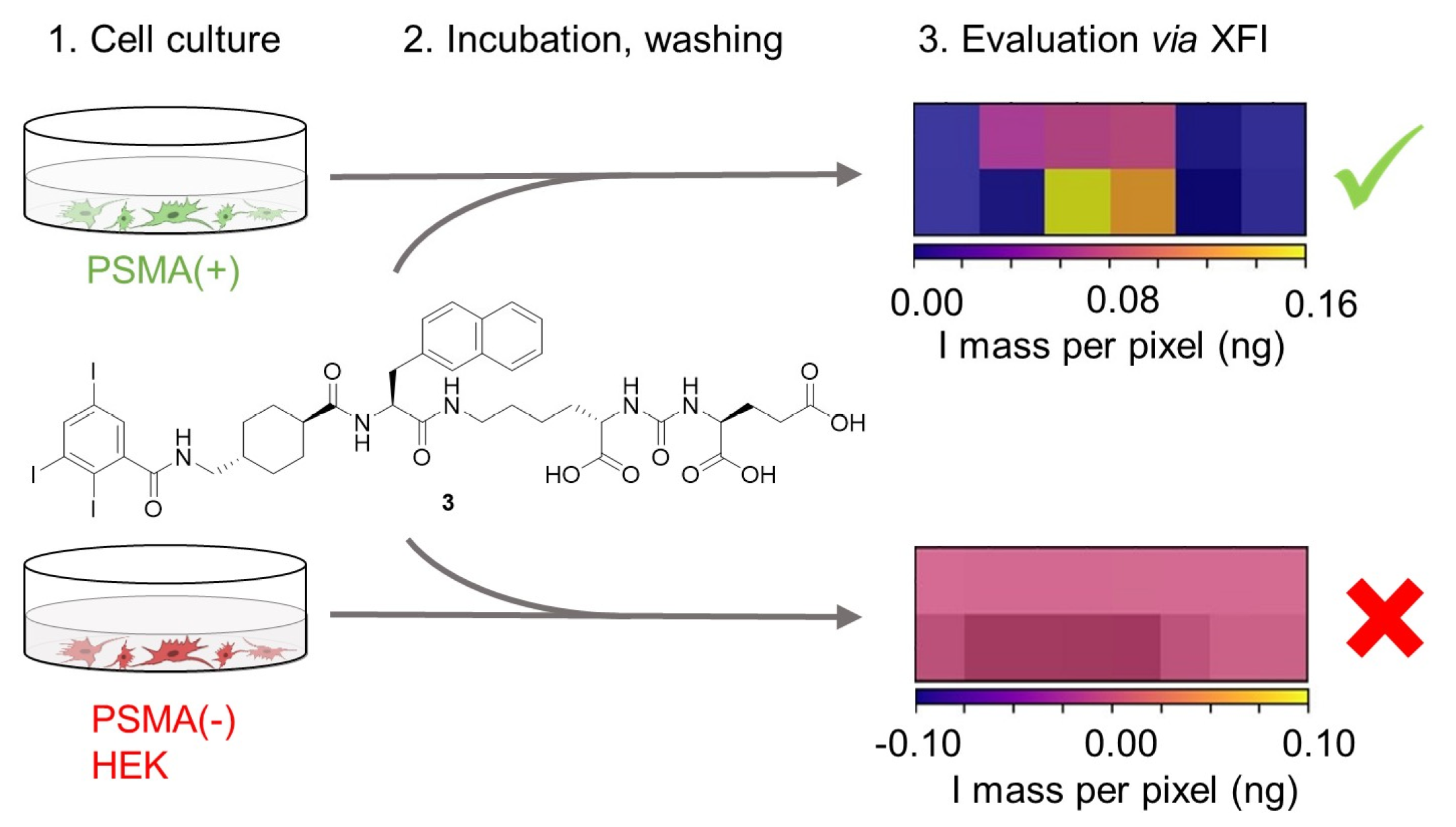 Ijms 25 11880 sch002