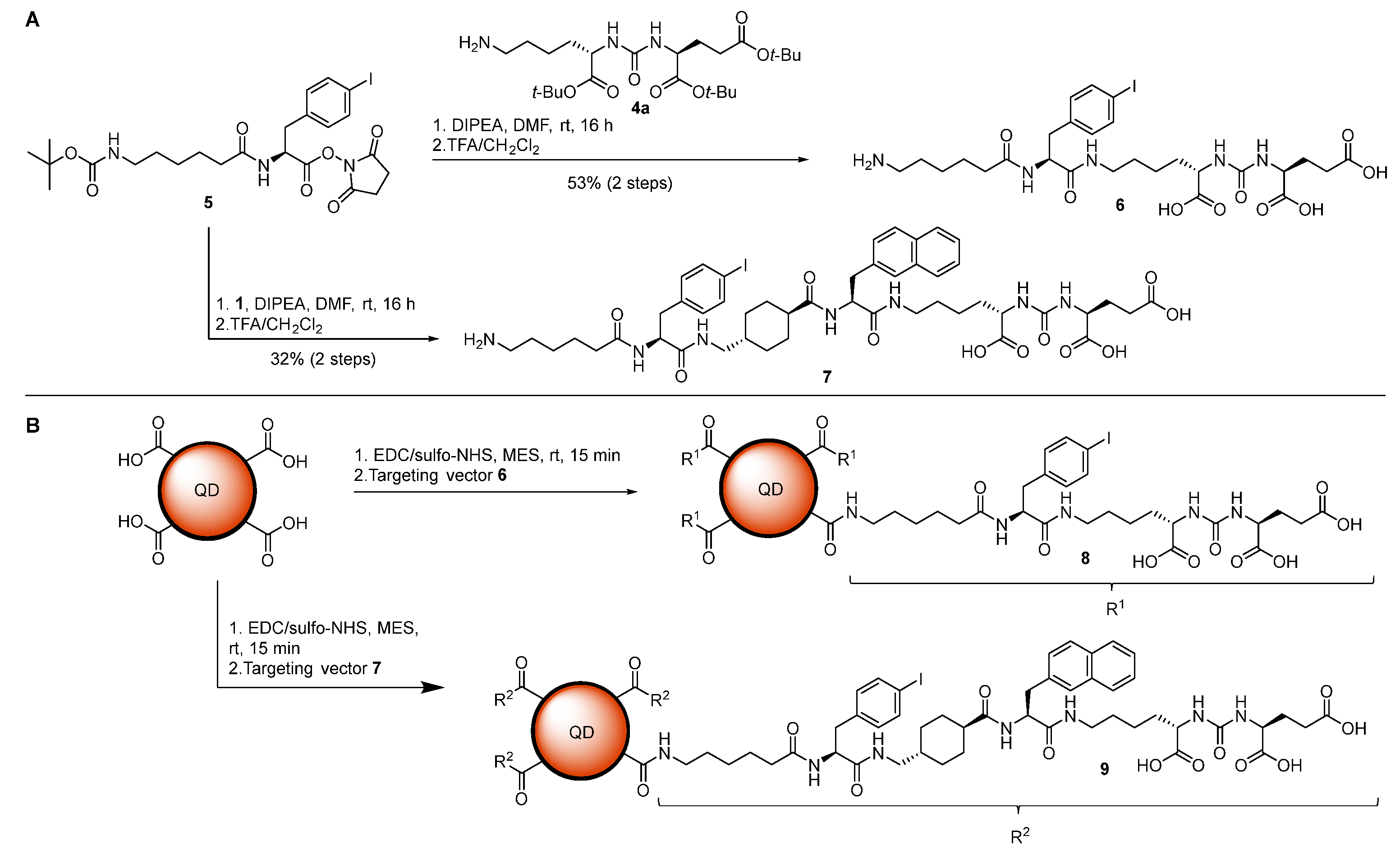 Ijms 25 11880 sch004