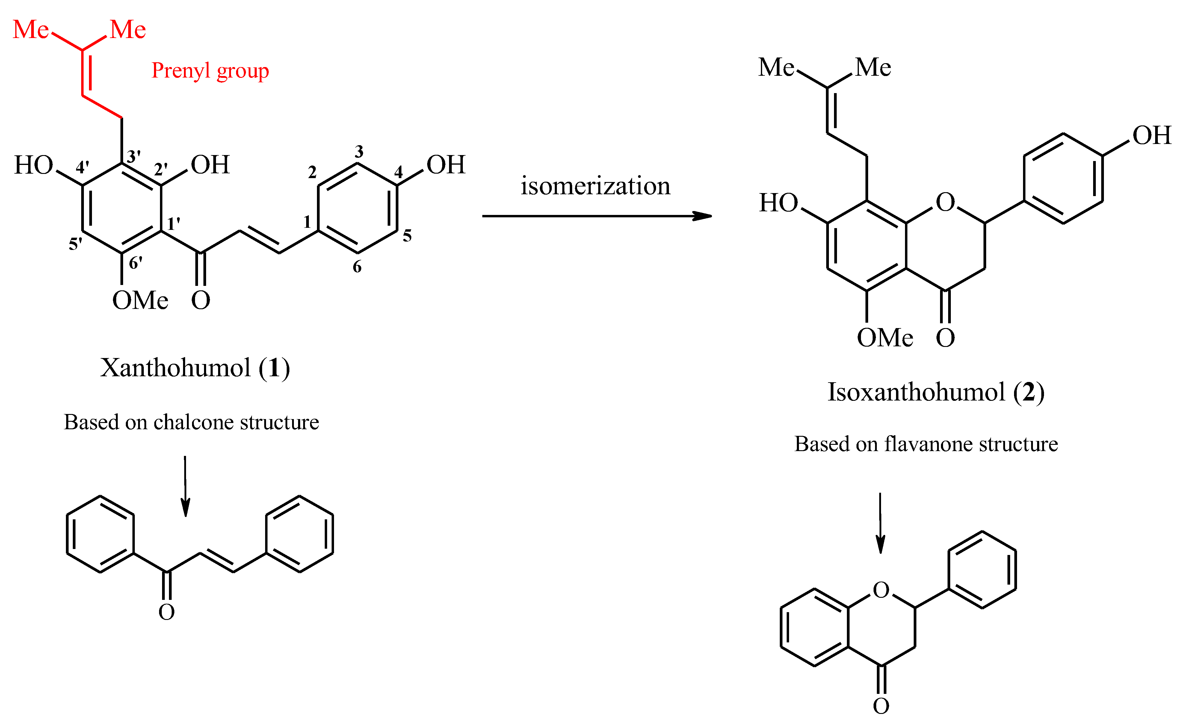 Ijms 25 11938 sch001