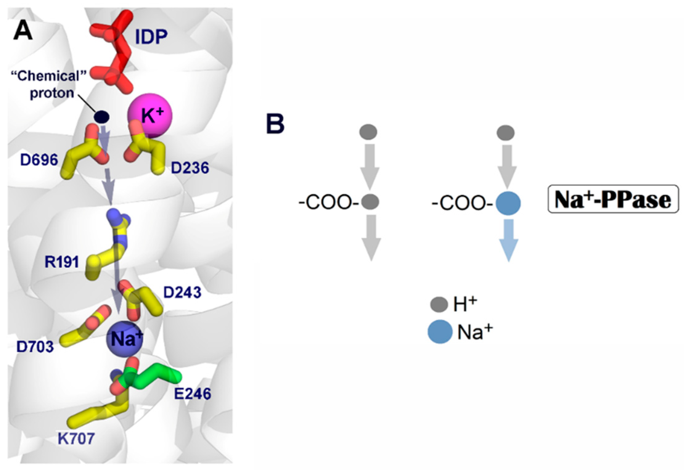 Ijms 25 11963 g001 Ijms 25 11963 g001