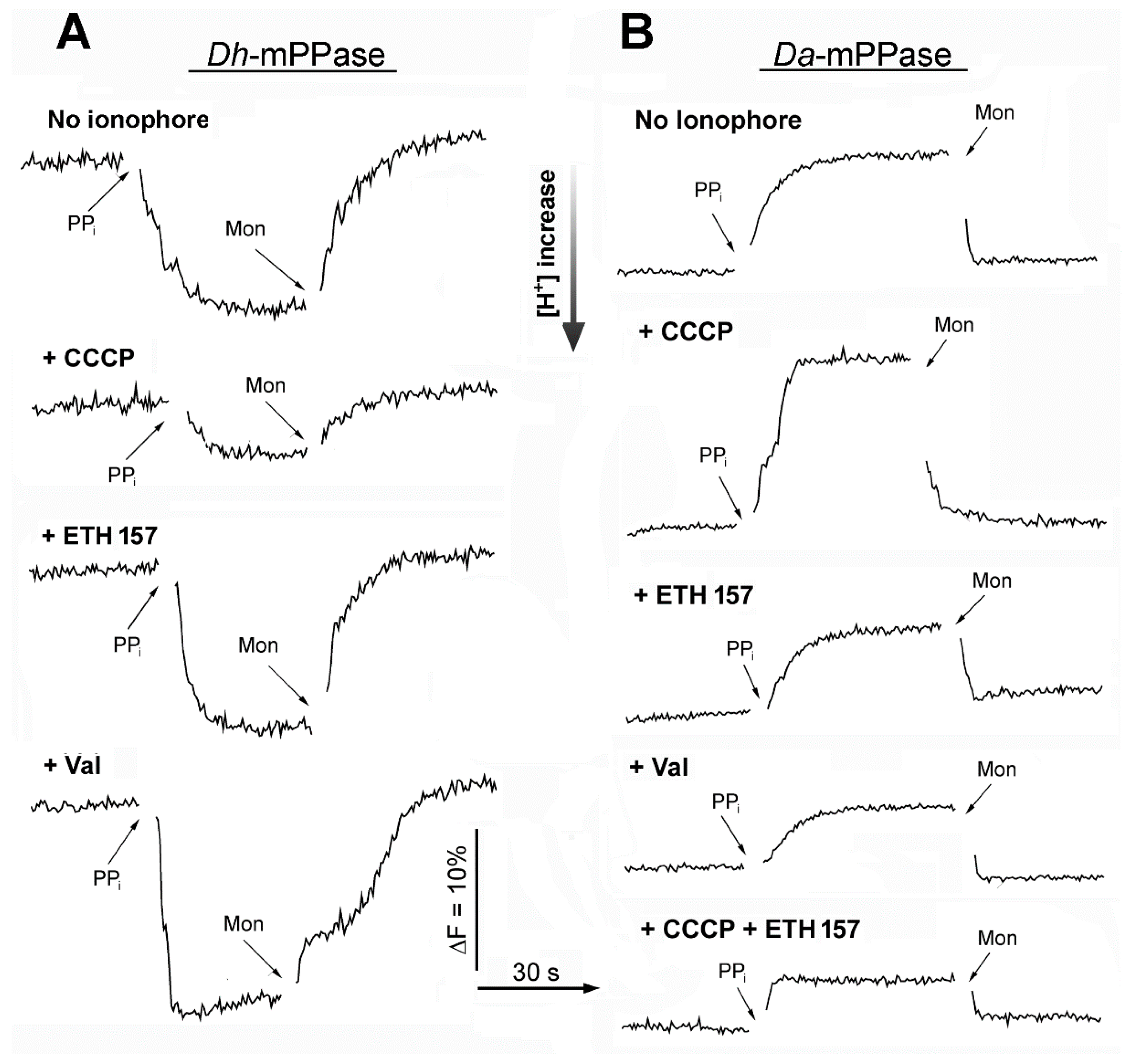 Ijms 25 11963 g003 Ijms 25 11963 g003