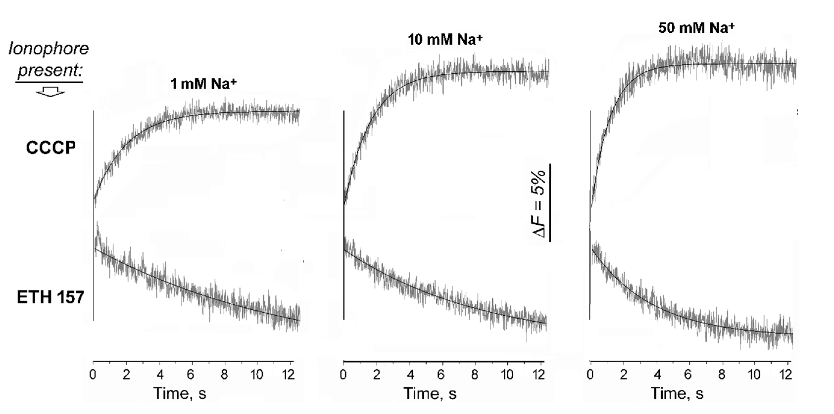 Ijms 25 11963 g005 Ijms 25 11963 g005