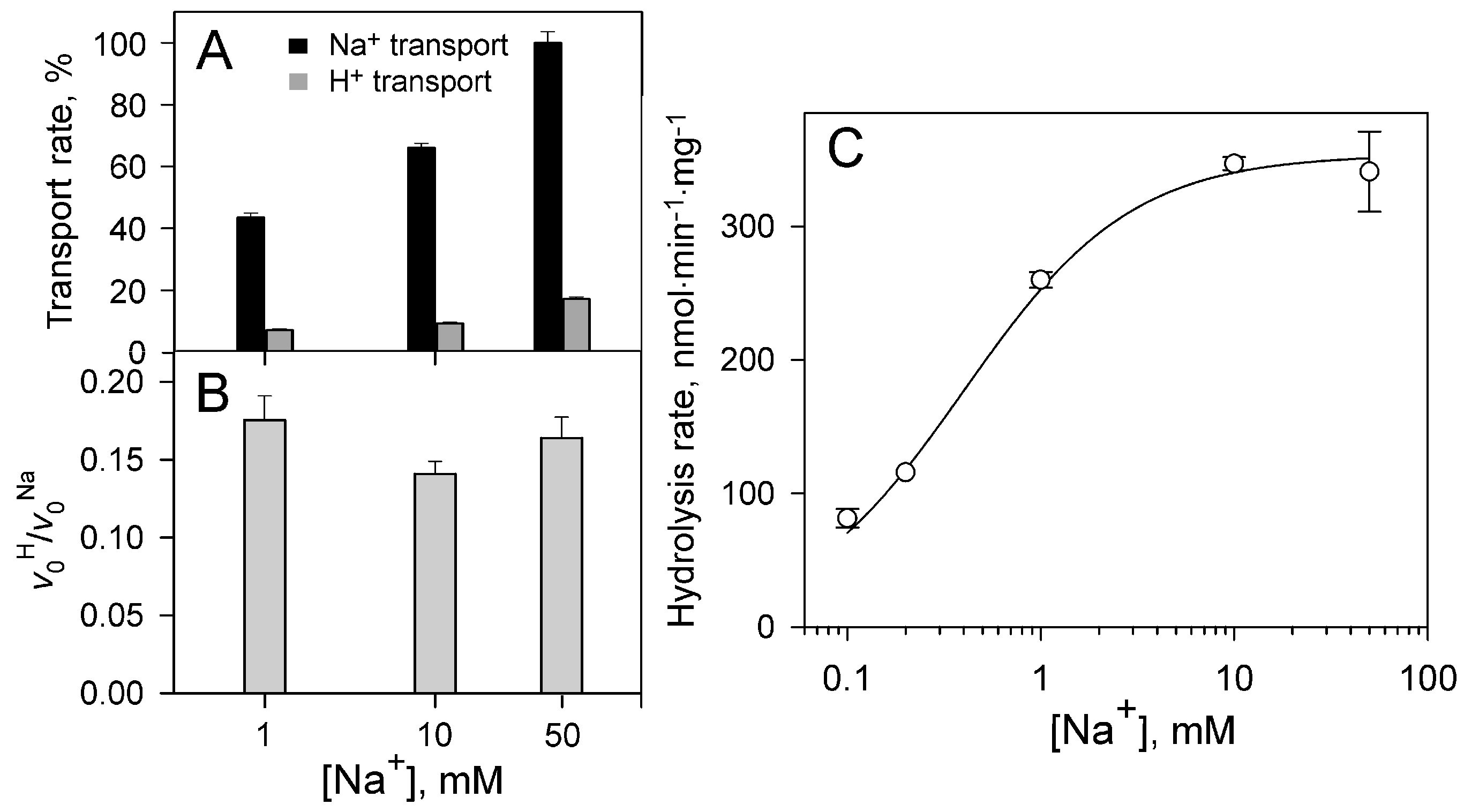 Ijms 25 11963 g006 Ijms 25 11963 g006