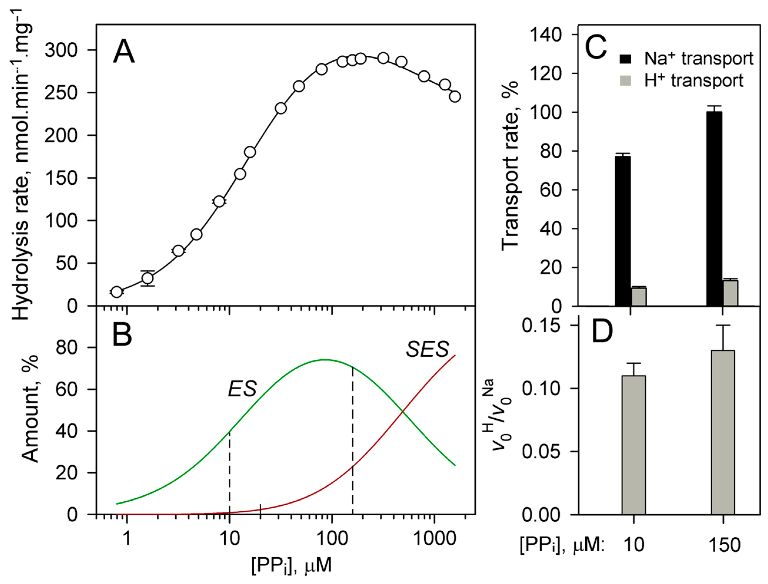 Ijms 25 11963 g007 Ijms 25 11963 g007