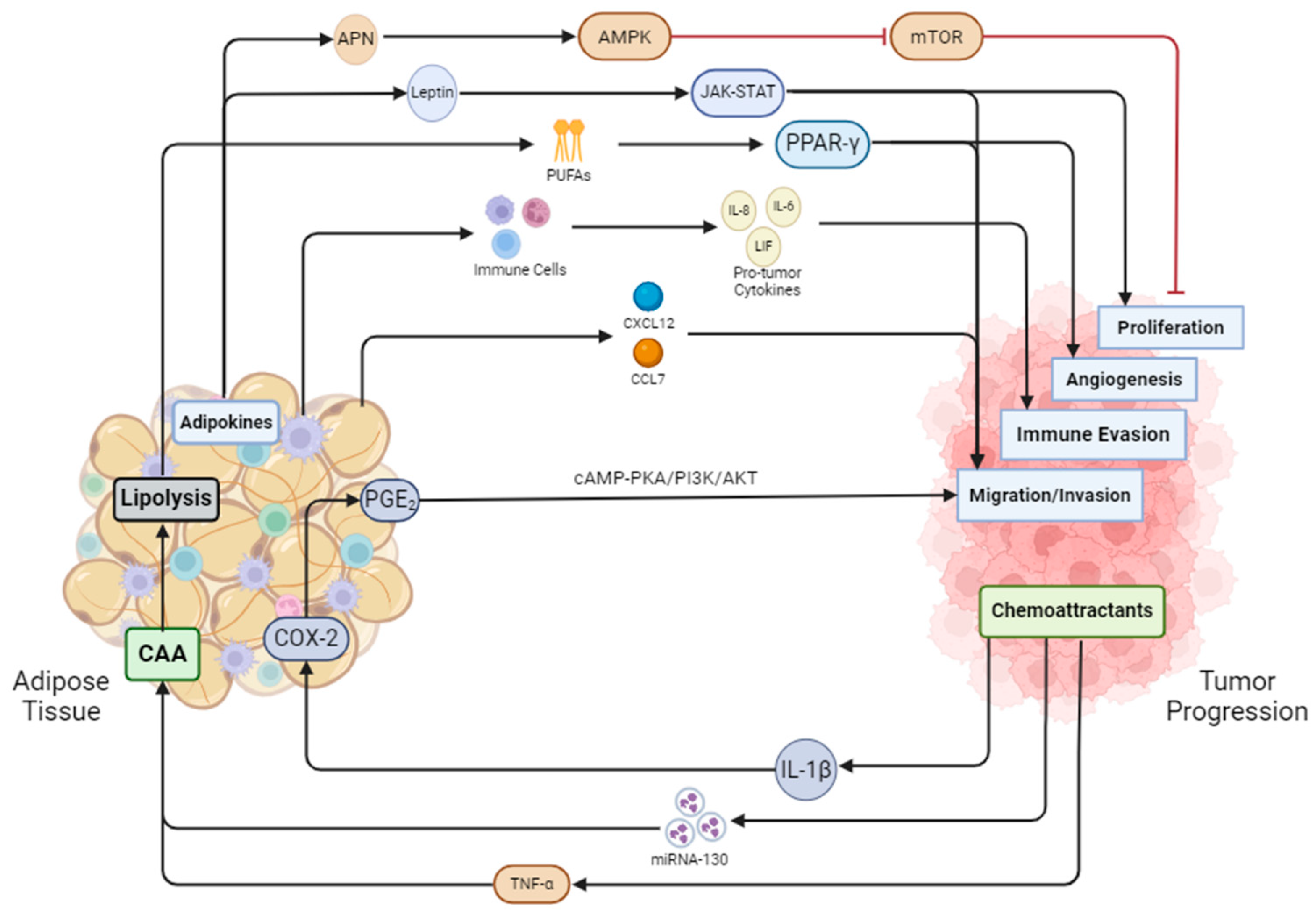 Ijms 25 12137 g002 Ijms 25 12137 g002