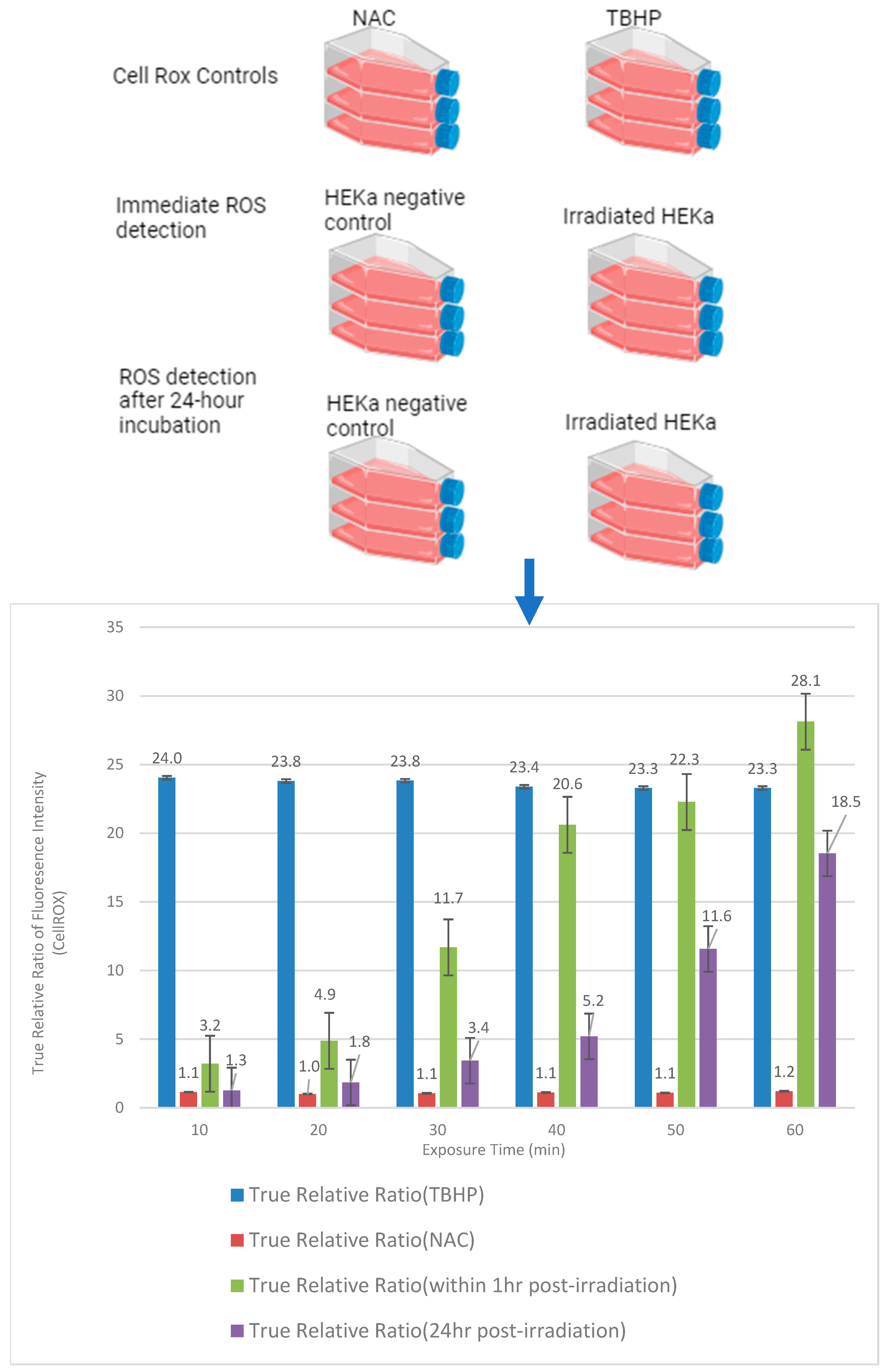 Ijms 25 12477 g001 Ijms 25 12477 g001