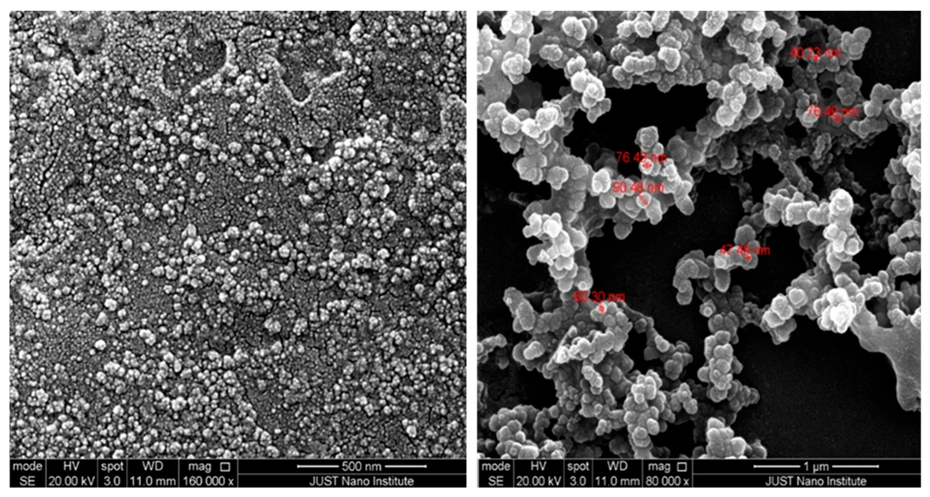 Ijms 25 12477 g003 Ijms 25 12477 g003