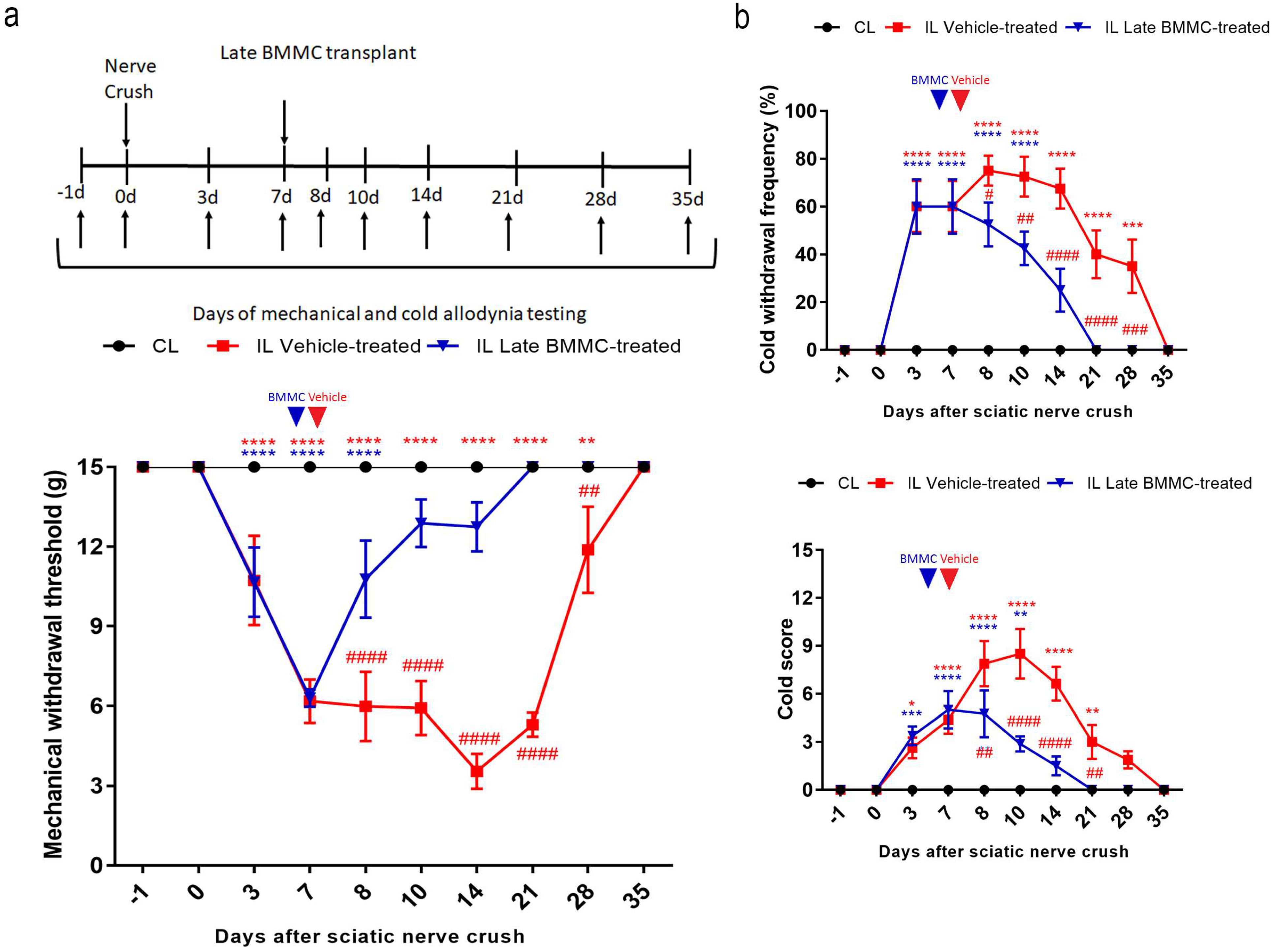 Ijms 25 12482 g002 Ijms 25 12482 g002
