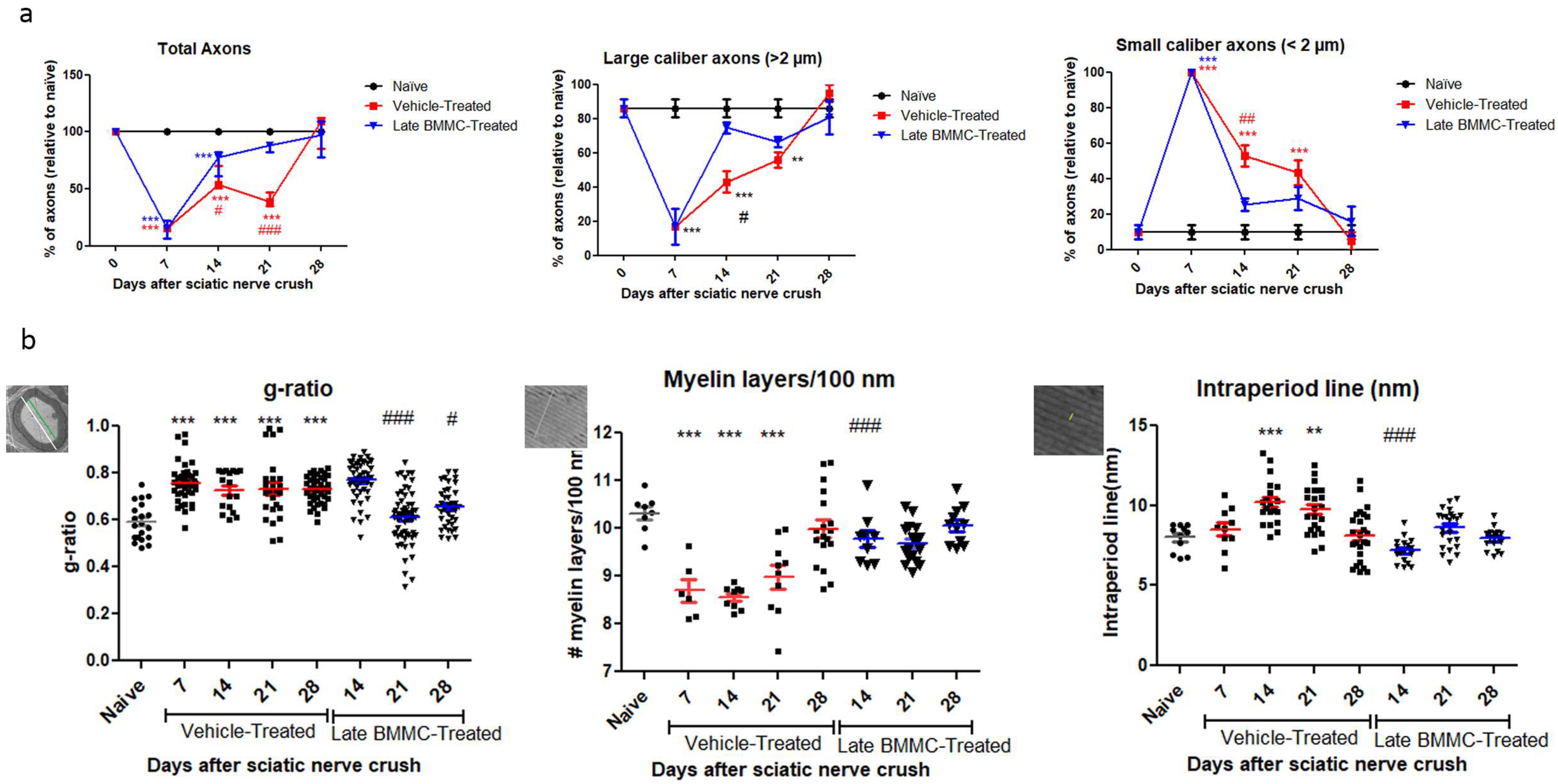 Ijms 25 12482 g006 Ijms 25 12482 g006