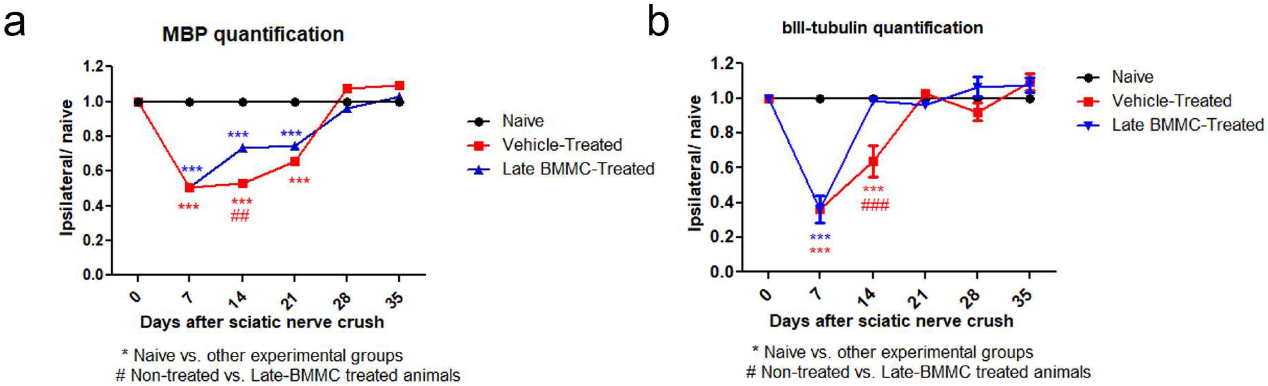 Ijms 25 12482 g010 Ijms 25 12482 g010