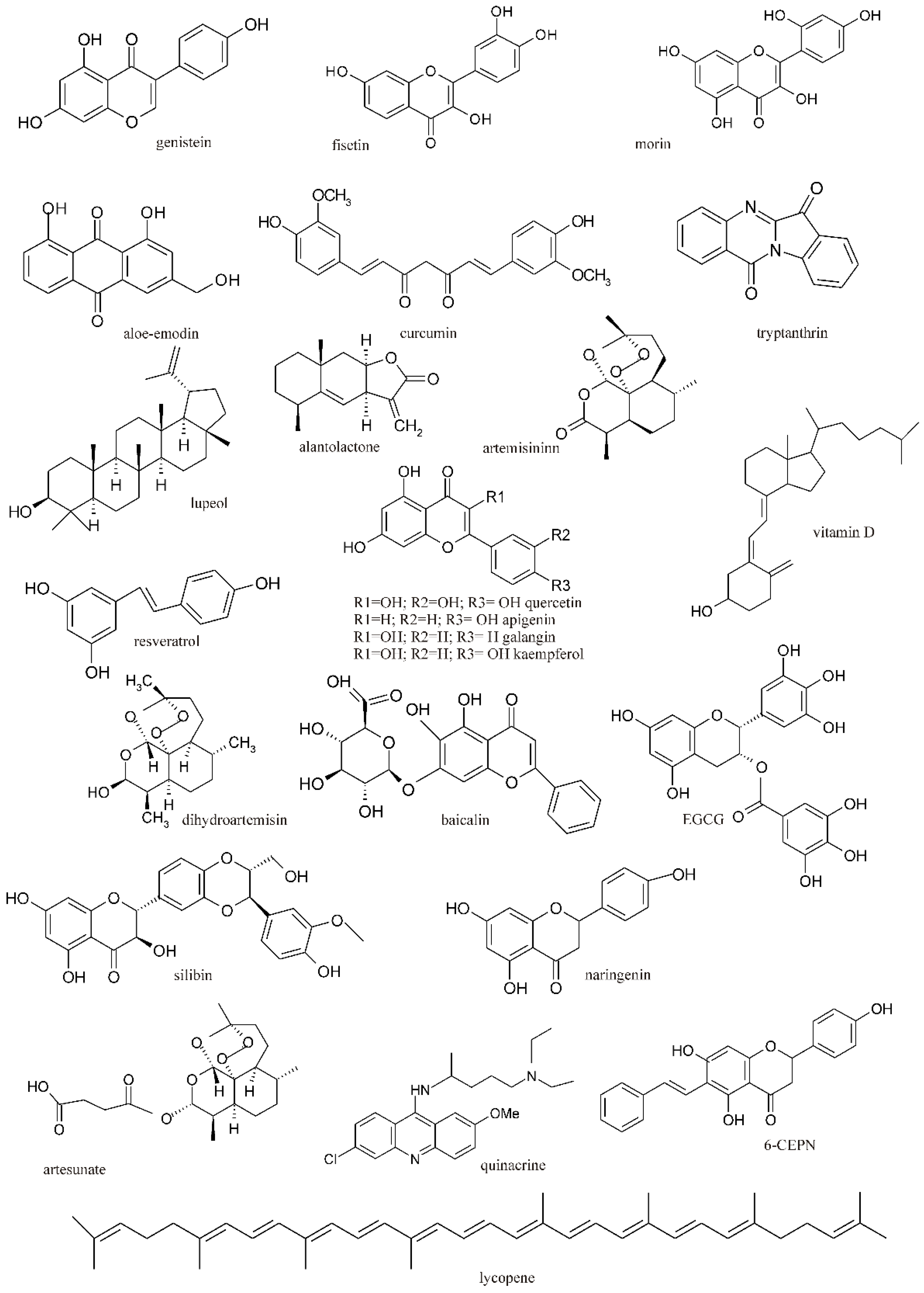 Ijms 25 12804 g001