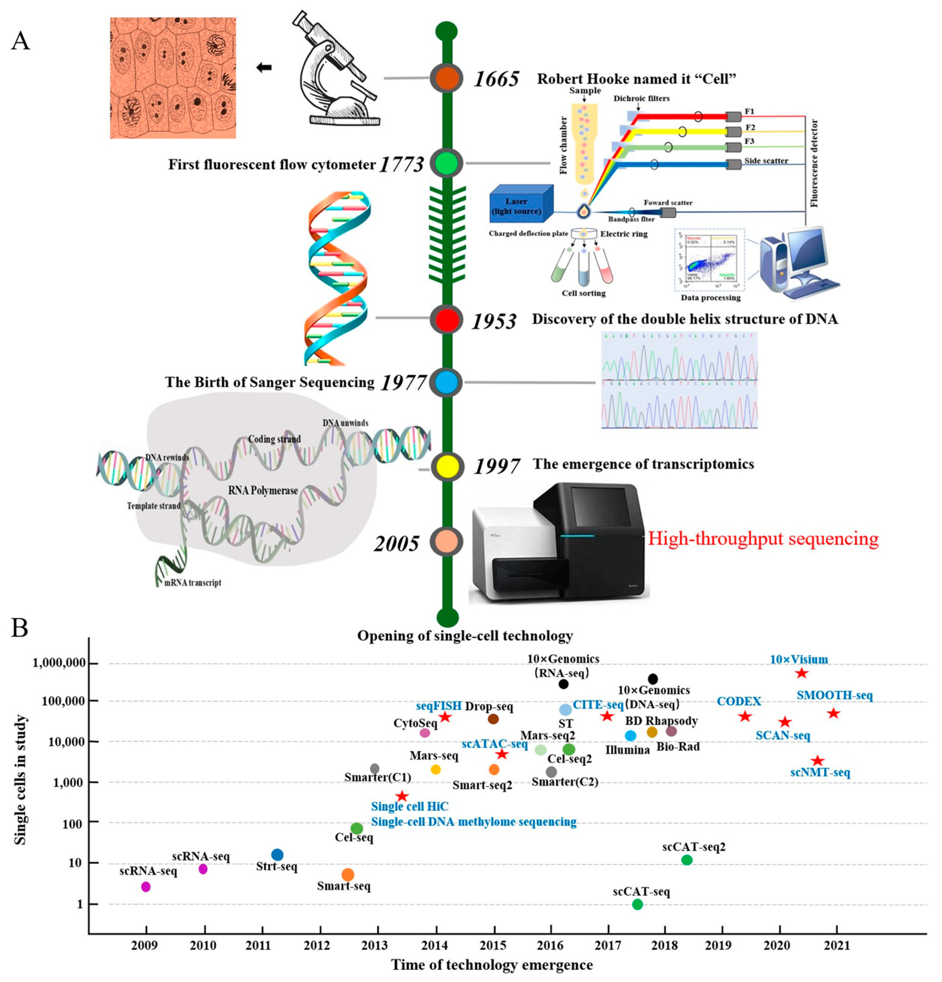 Ijms 25 12940 g001 Ijms 25 12940 g001