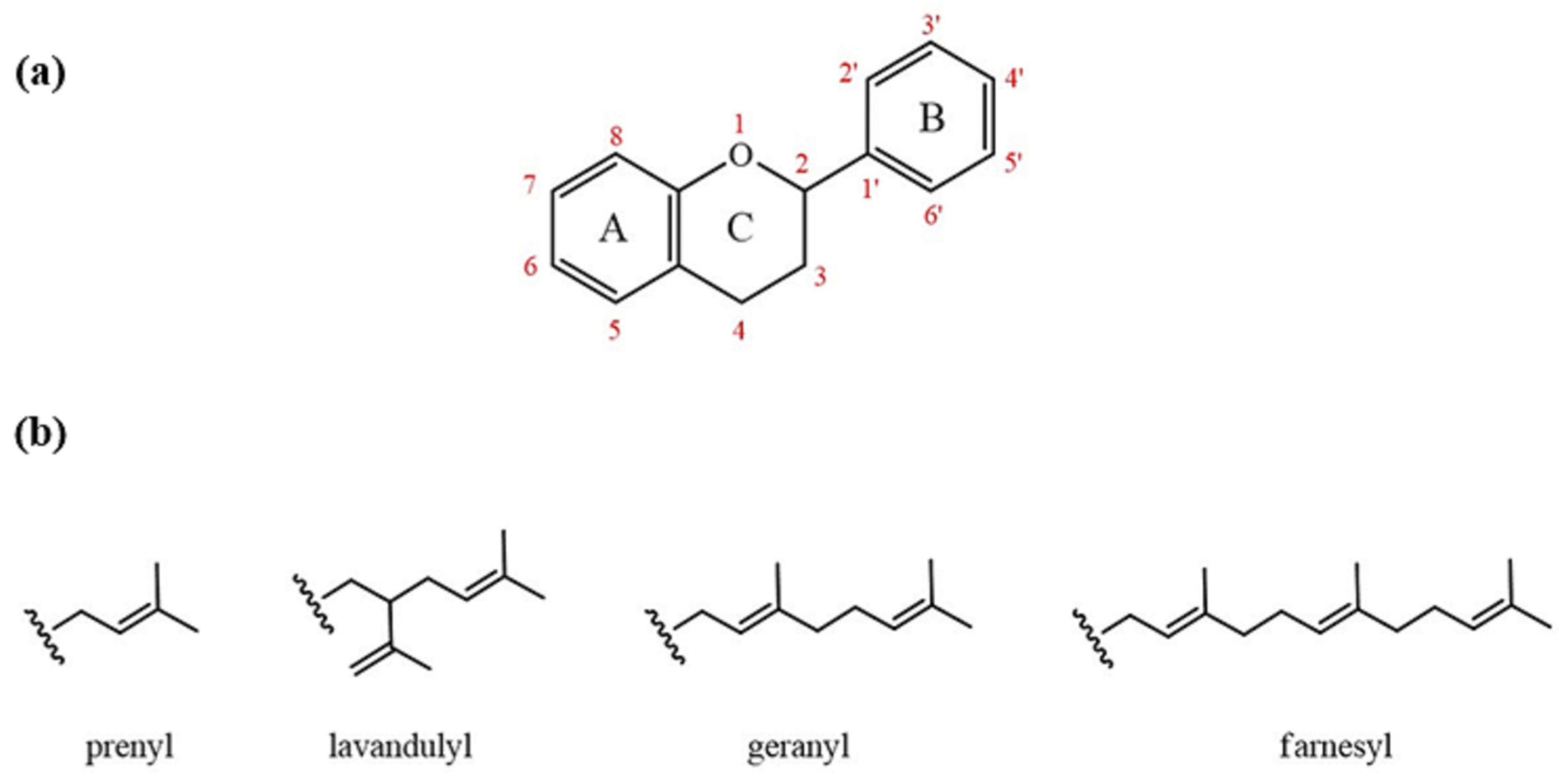 Therapeutic Potential of Prenylated Flavonoids of the Fabaceae Family ...