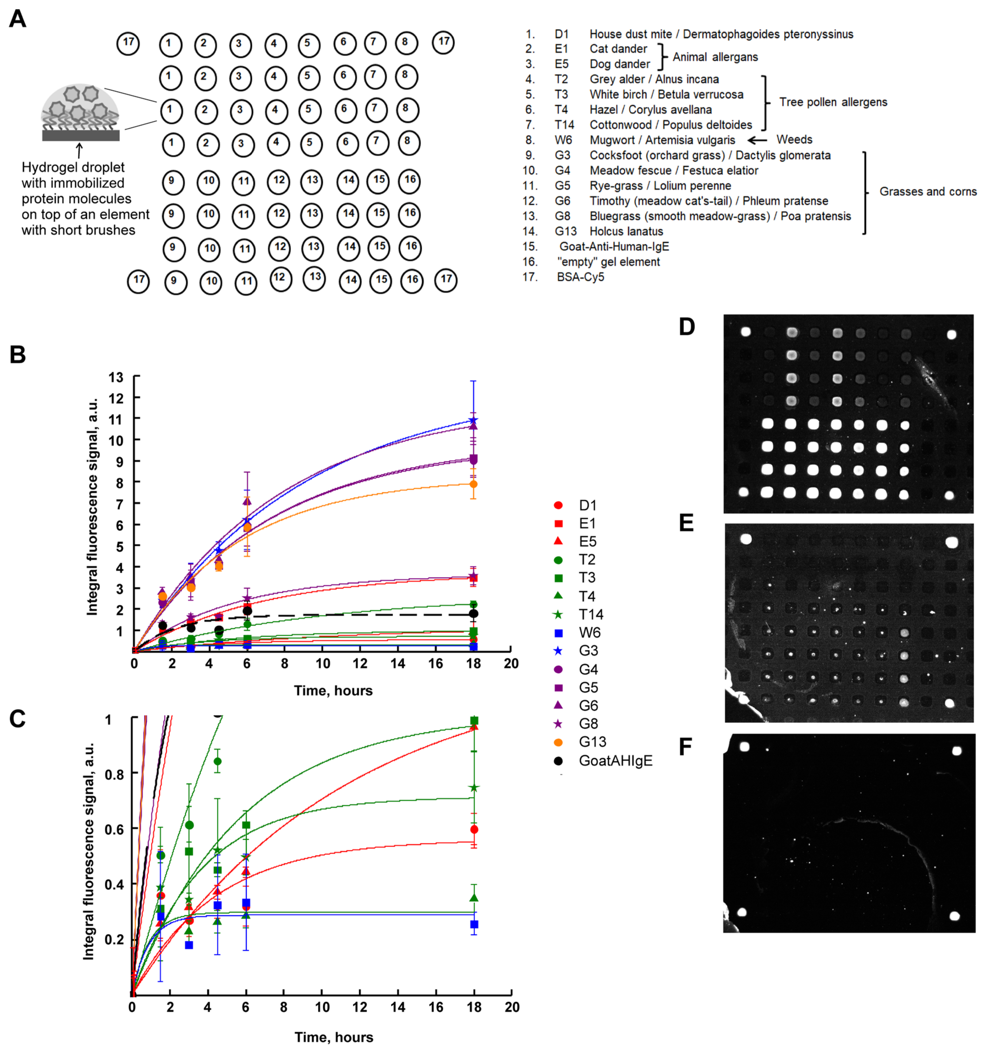 Ijms 25 13047 g001