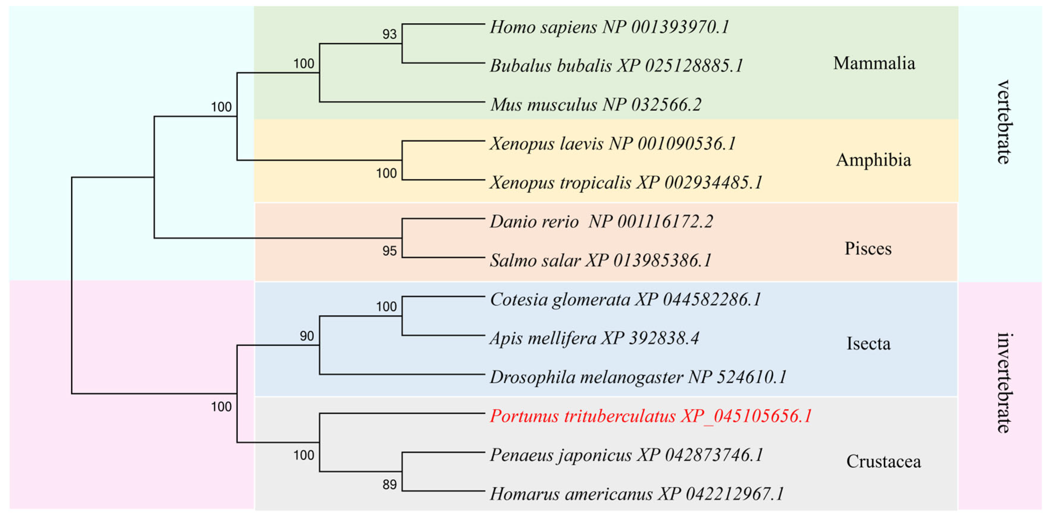 Ijms 25 13126 g002