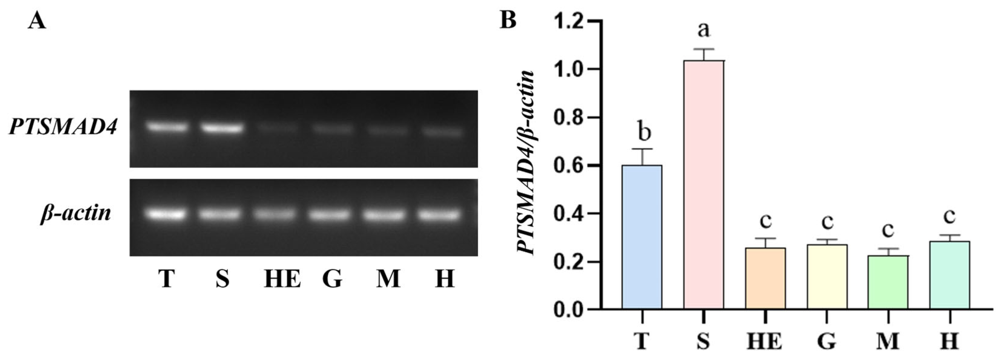 Ijms 25 13126 g003