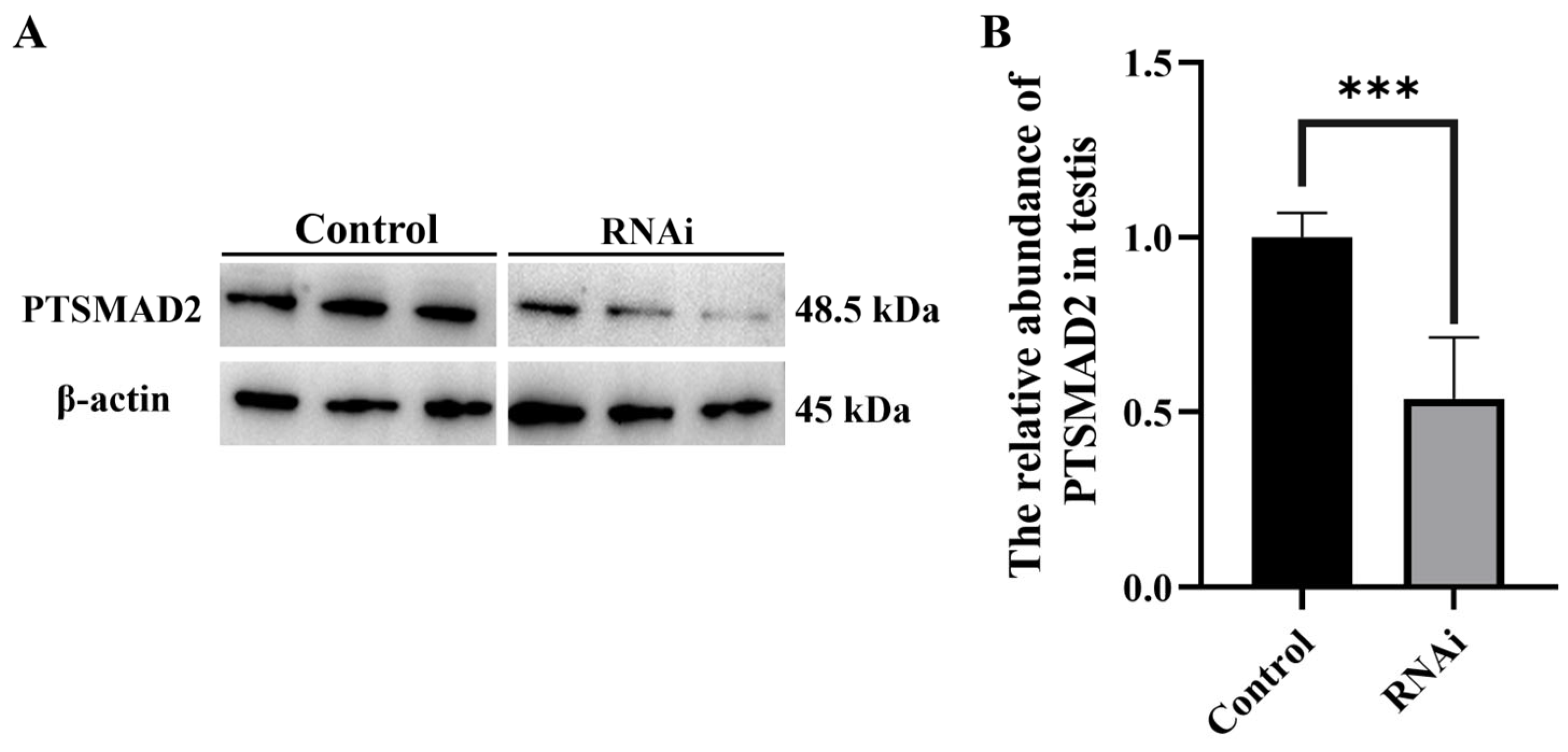 Ijms 25 13126 g008