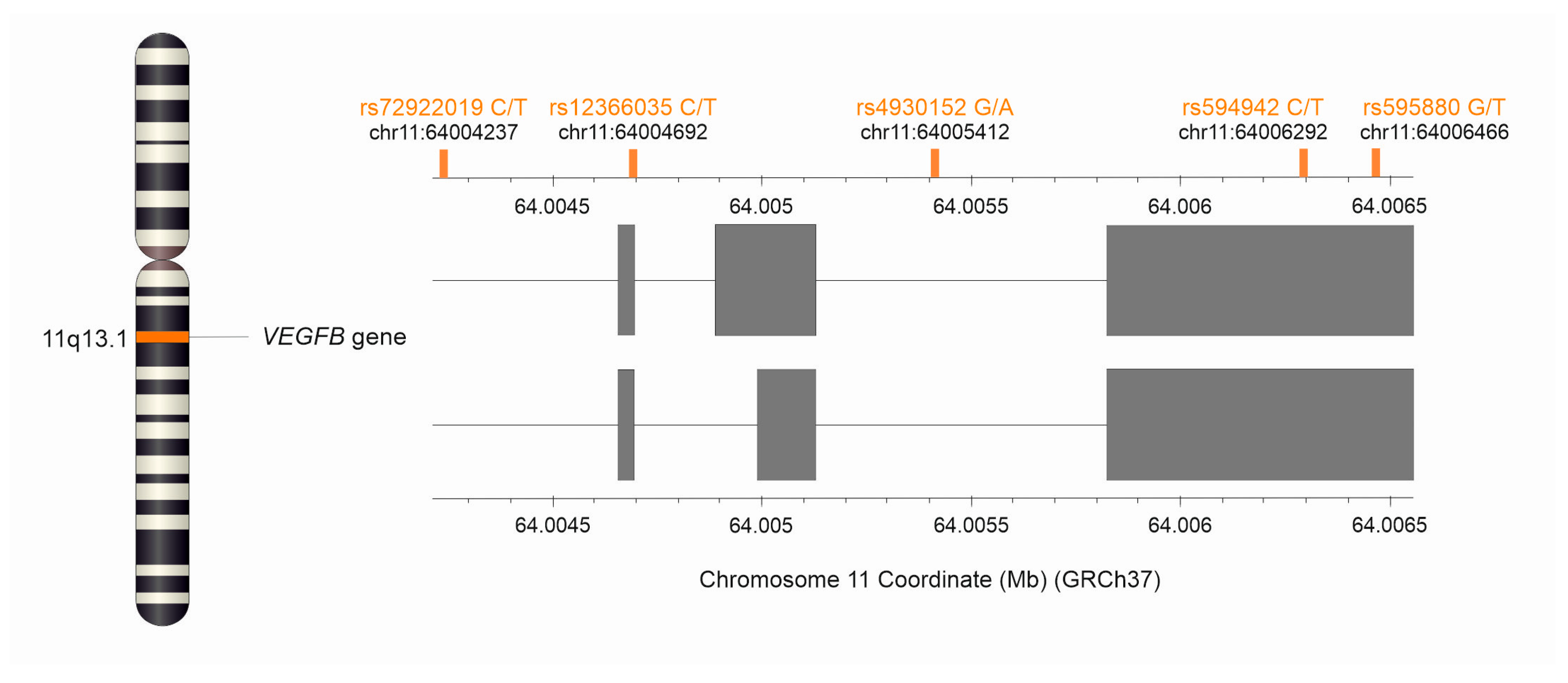 Ijms 25 13166 g002 Ijms 25 13166 g002
