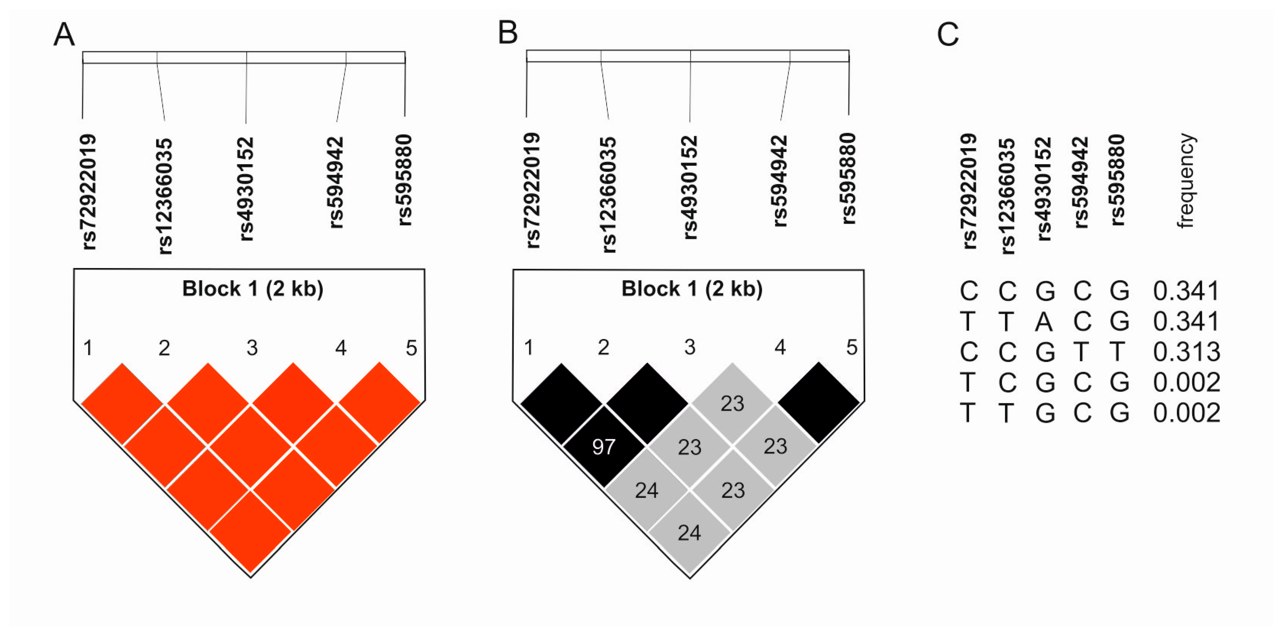 Ijms 25 13166 g003 Ijms 25 13166 g003