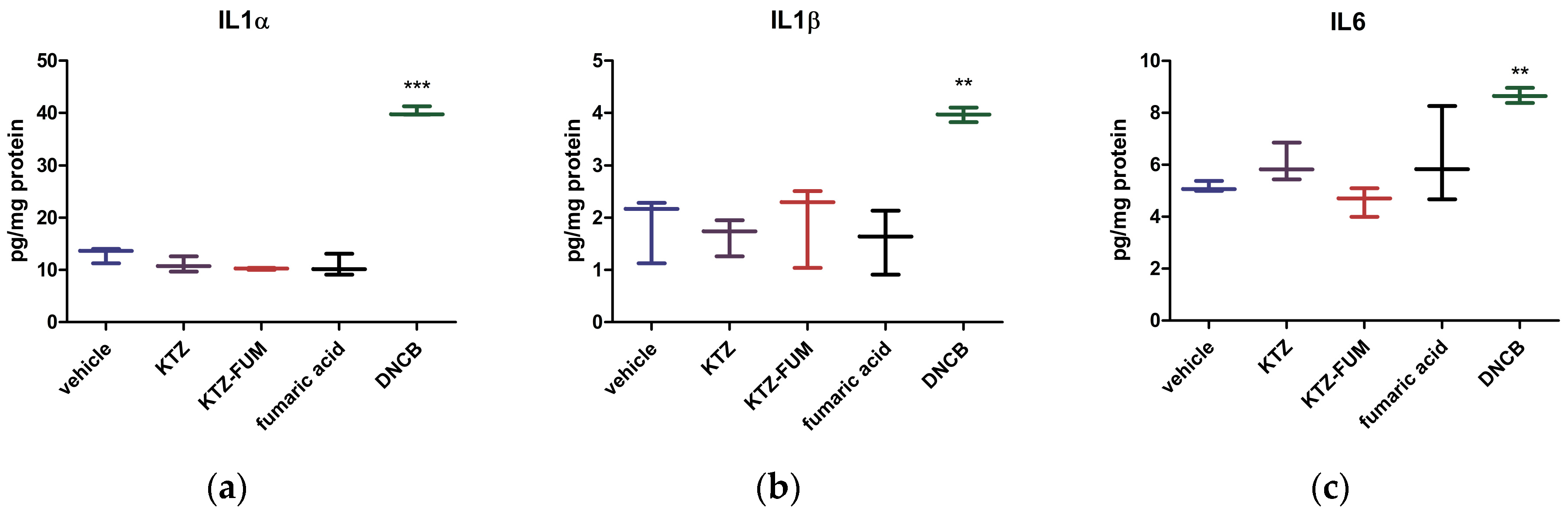 Ijms 25 13346 g011 Ijms 25 13346 g011