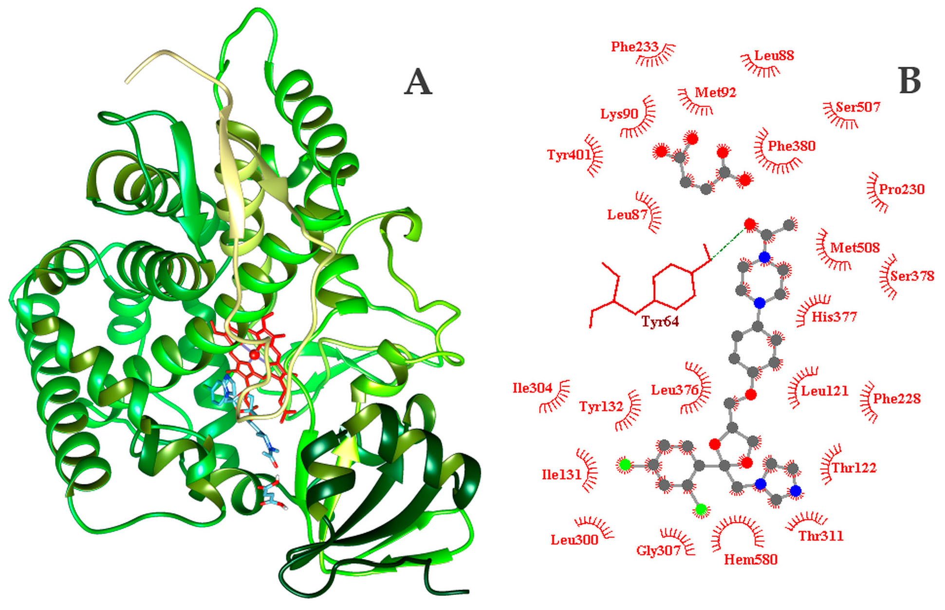 Ijms 25 13346 g013 Ijms 25 13346 g013