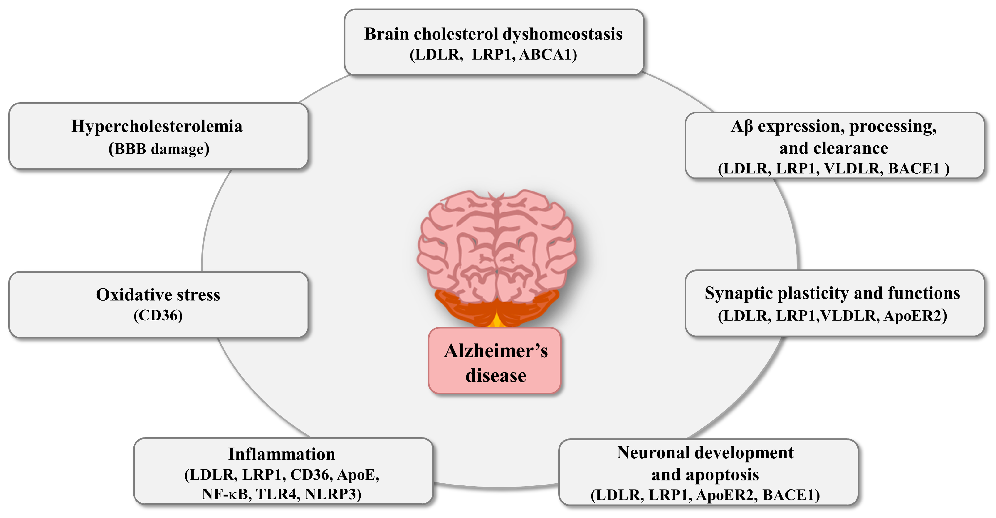 Ijms 25 13637 g003 Ijms 25 13637 g003