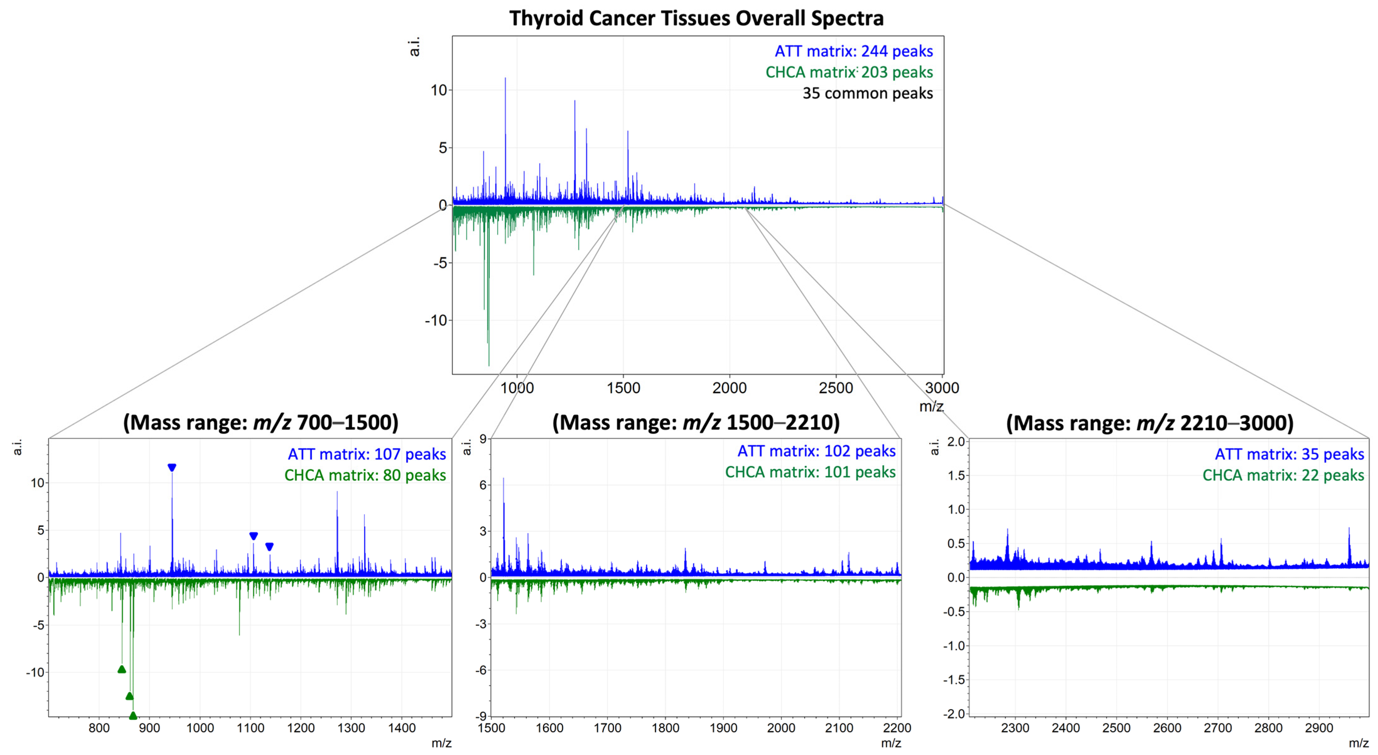 Ijms 25 13678 g002 Ijms 25 13678 g002