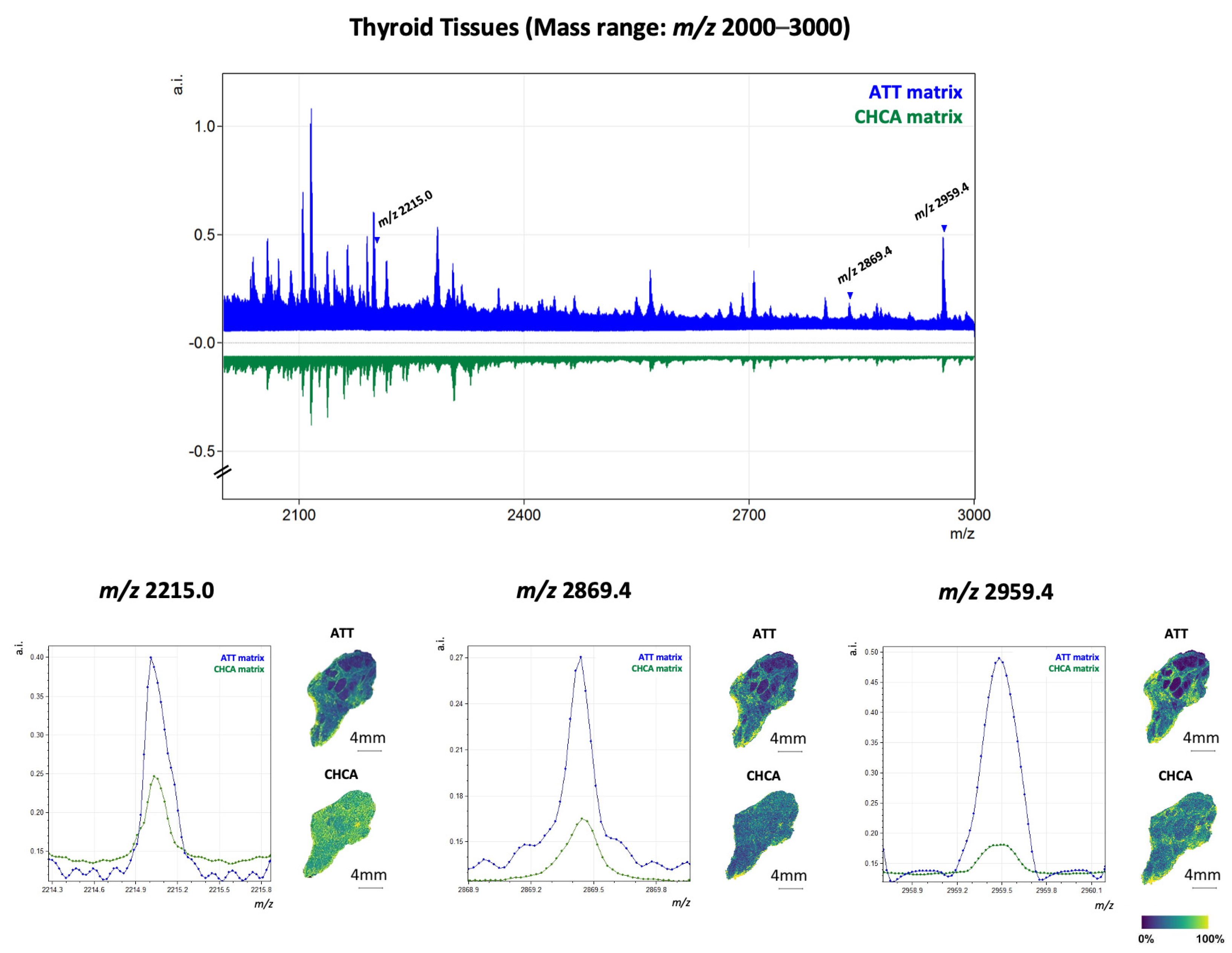 Ijms 25 13678 g003 Ijms 25 13678 g003