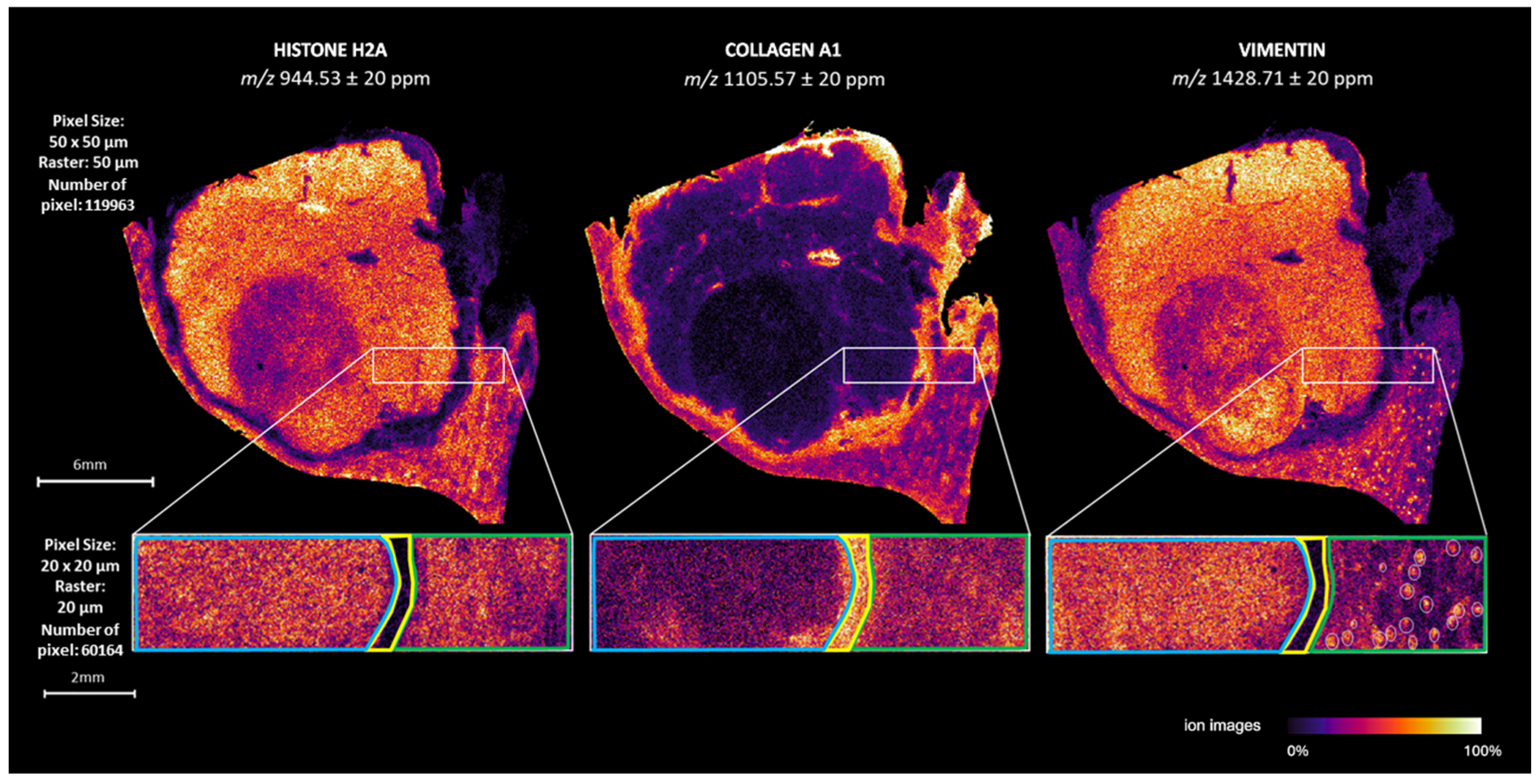 Ijms 25 13678 g004 Ijms 25 13678 g004