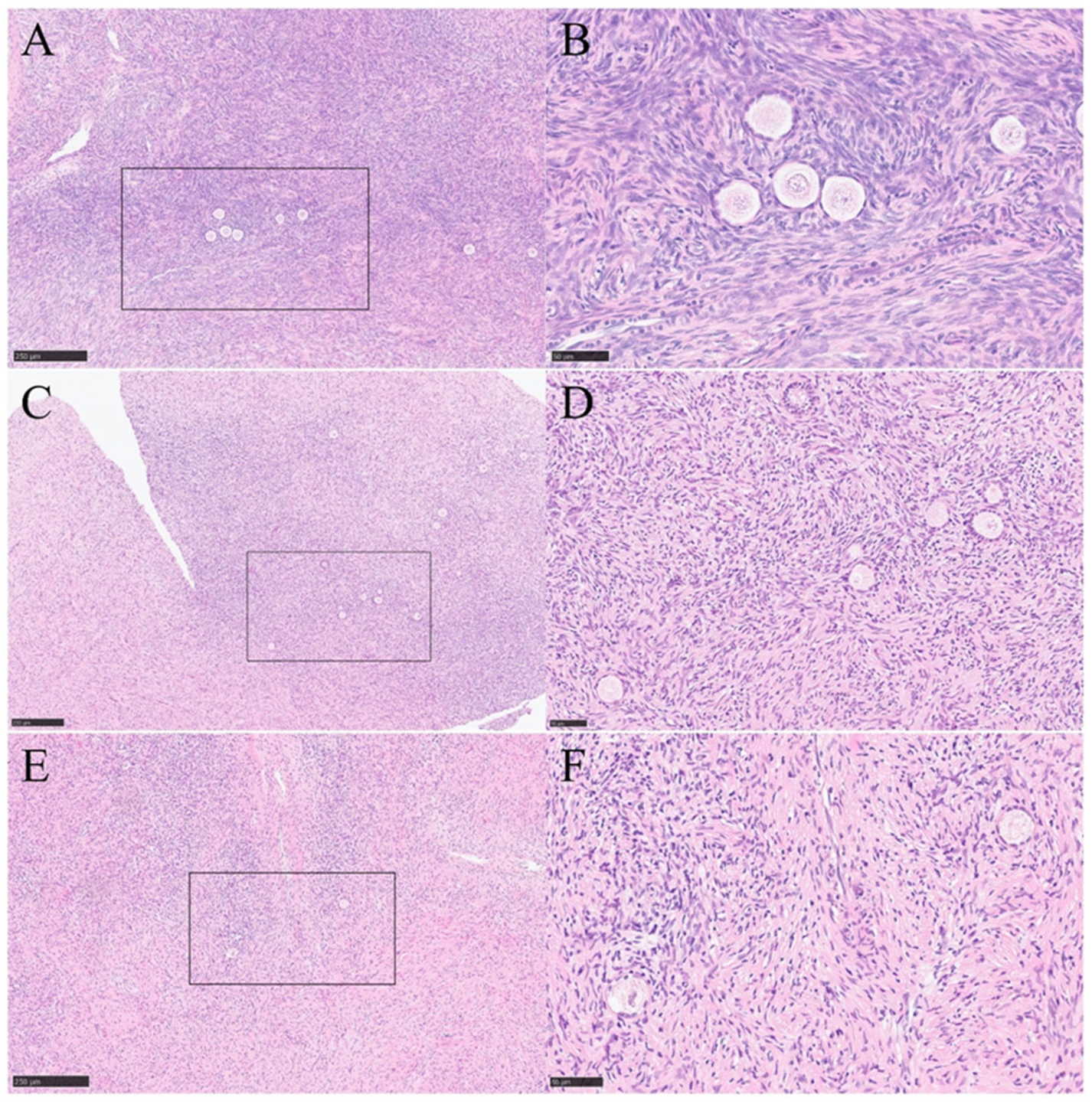 Ijms 25 13747 g005