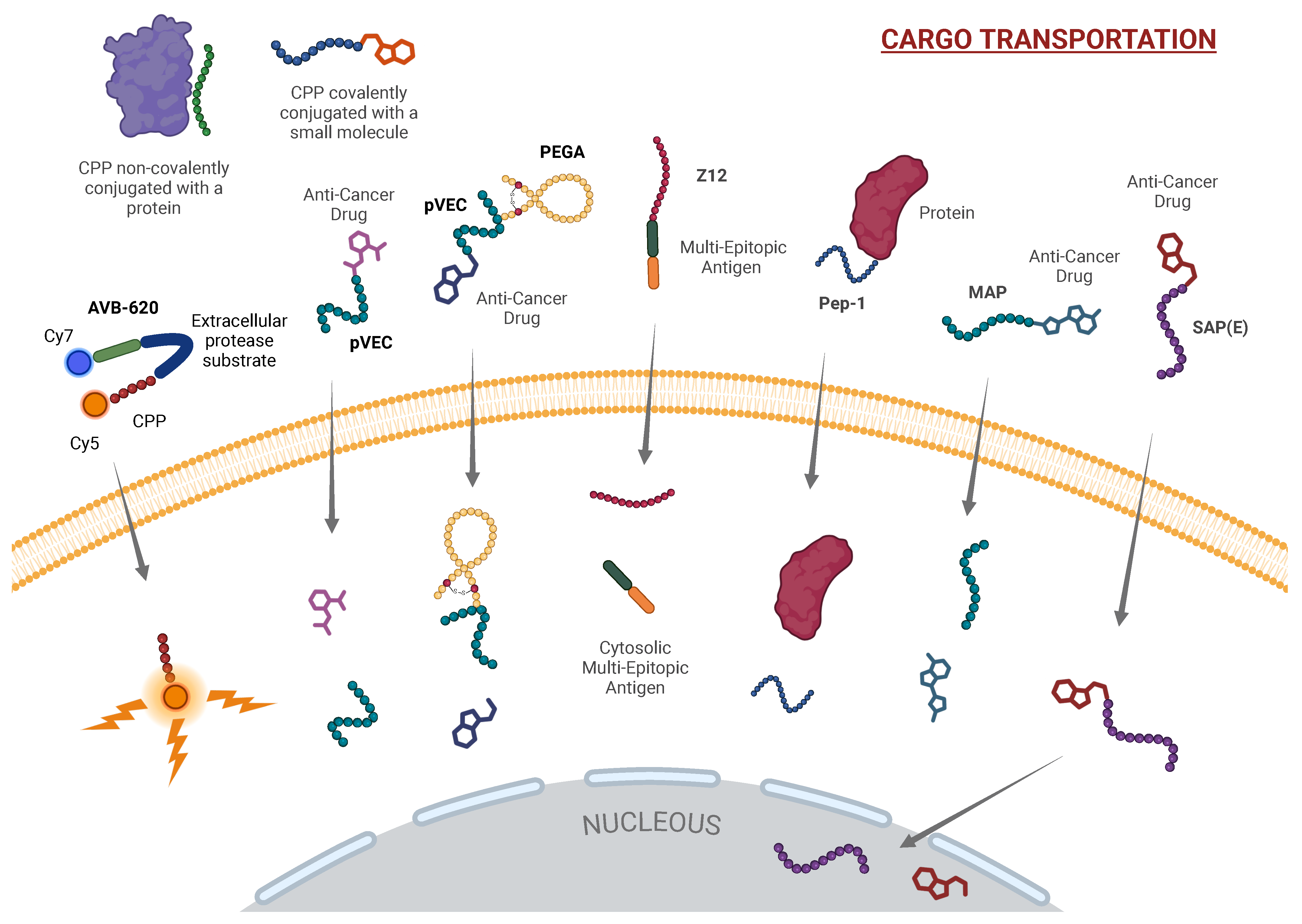 Ijms 26 00002 g002 Ijms 26 00002 g002