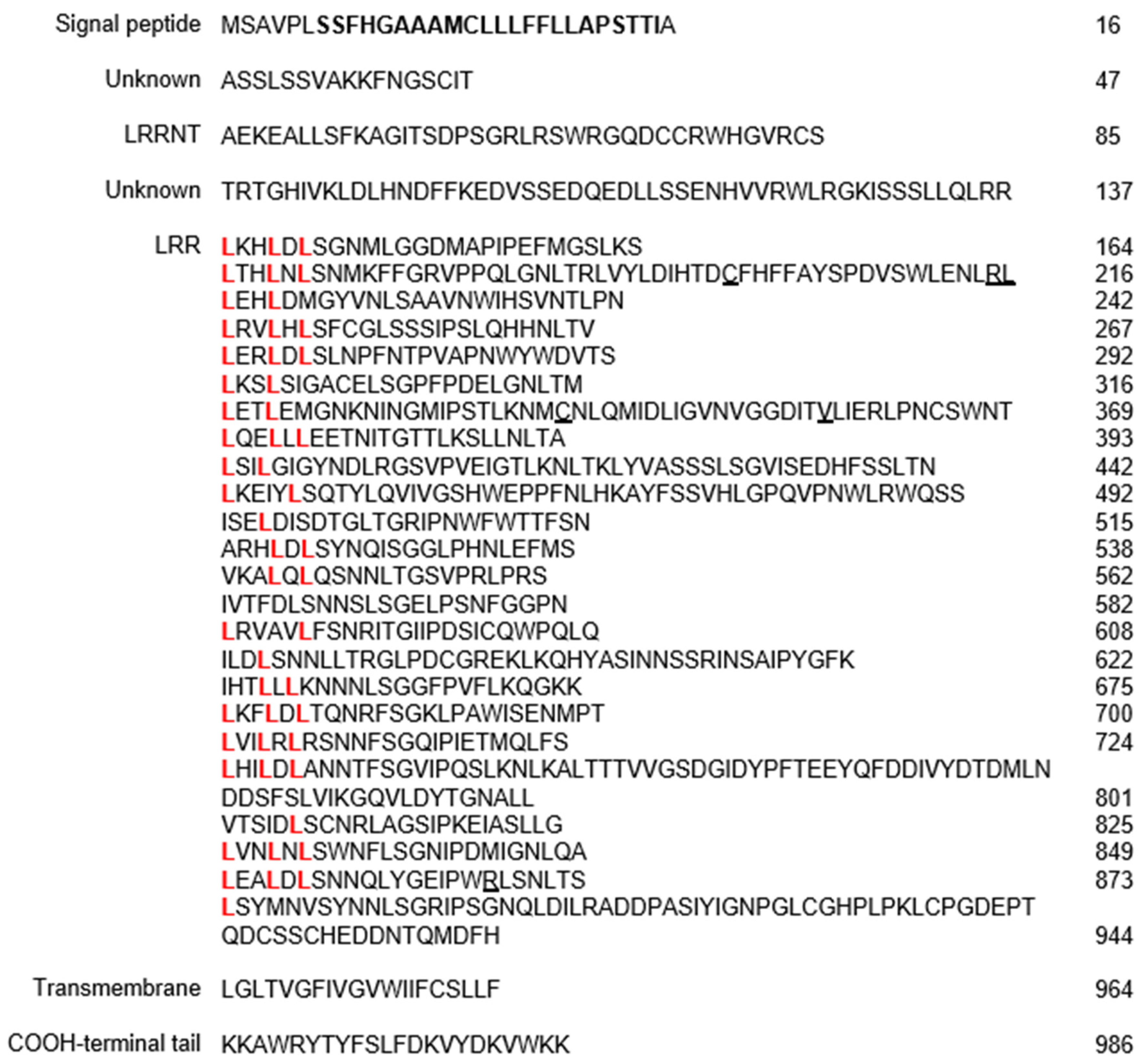 Ijms 26 00019 g002 Ijms 26 00019 g002