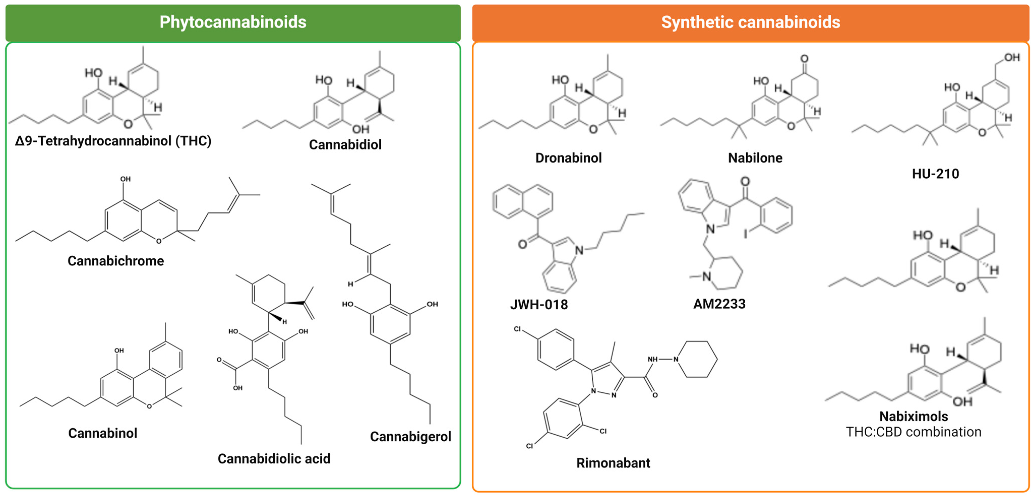 Ijms 26 00152 g005 Ijms 26 00152 g005