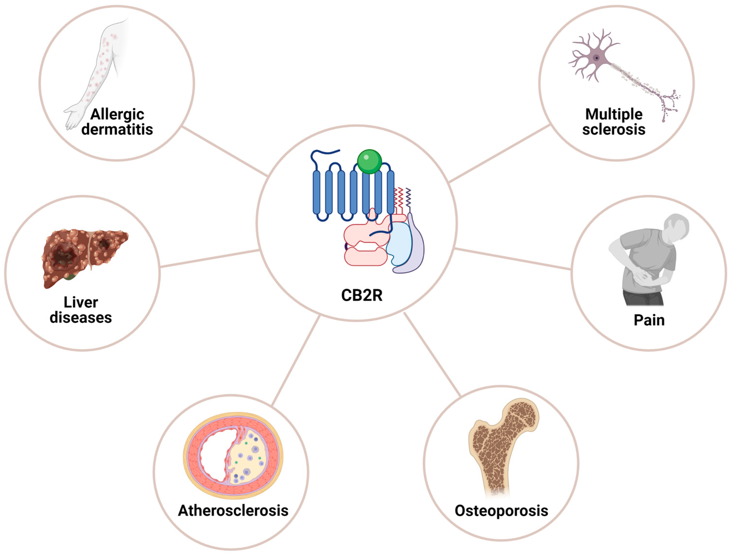 Ijms 26 00152 g006 Ijms 26 00152 g006