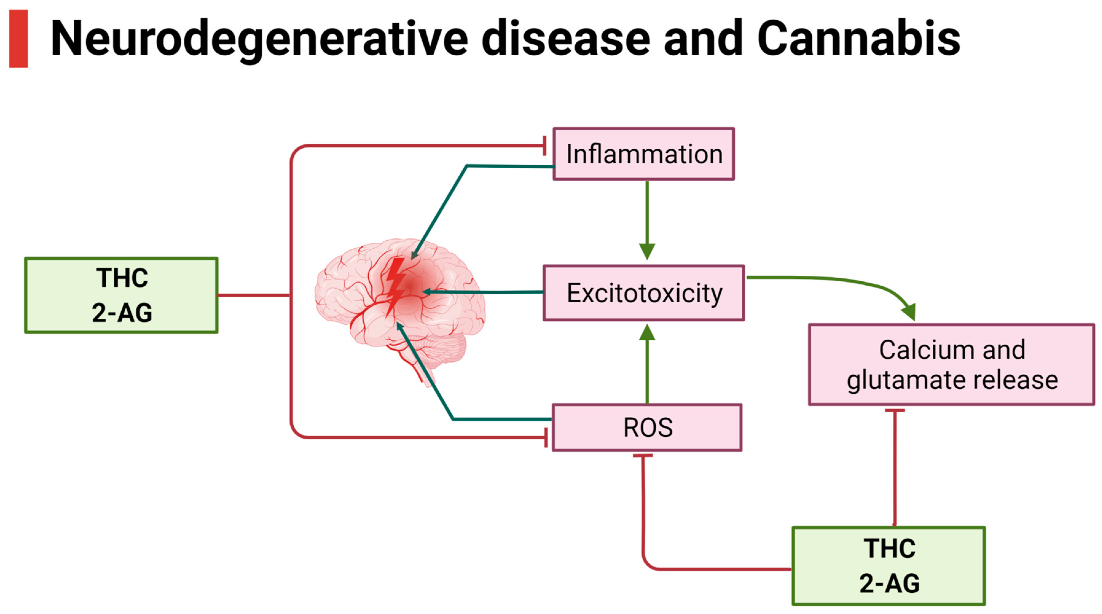 Ijms 26 00152 g007 Ijms 26 00152 g007