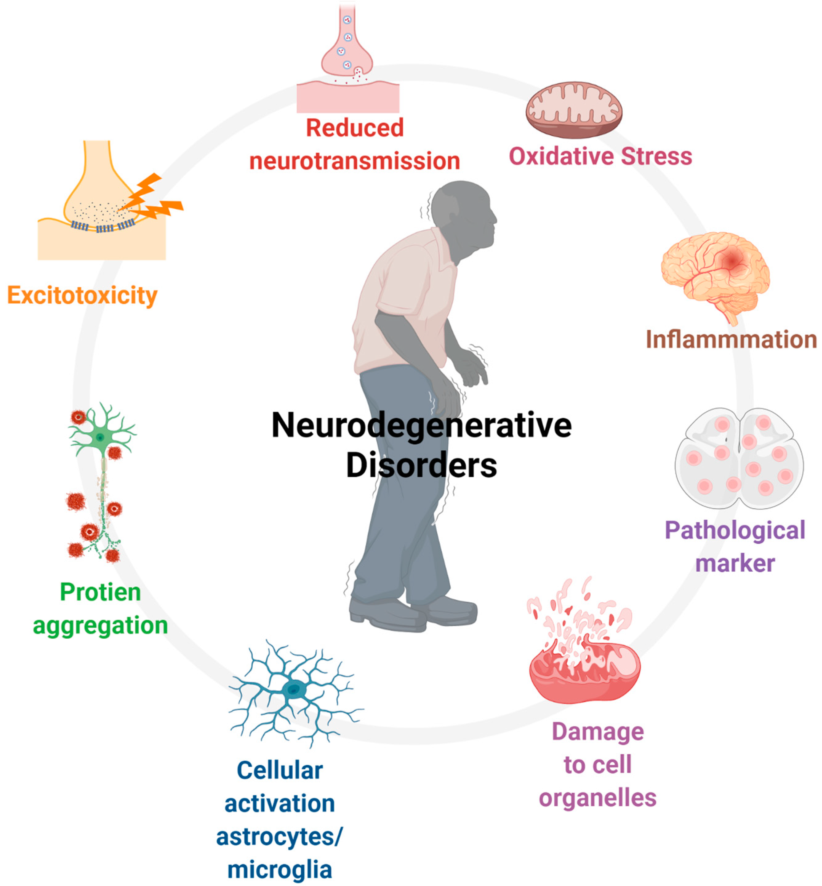 Ijms 26 00152 g008 Ijms 26 00152 g008